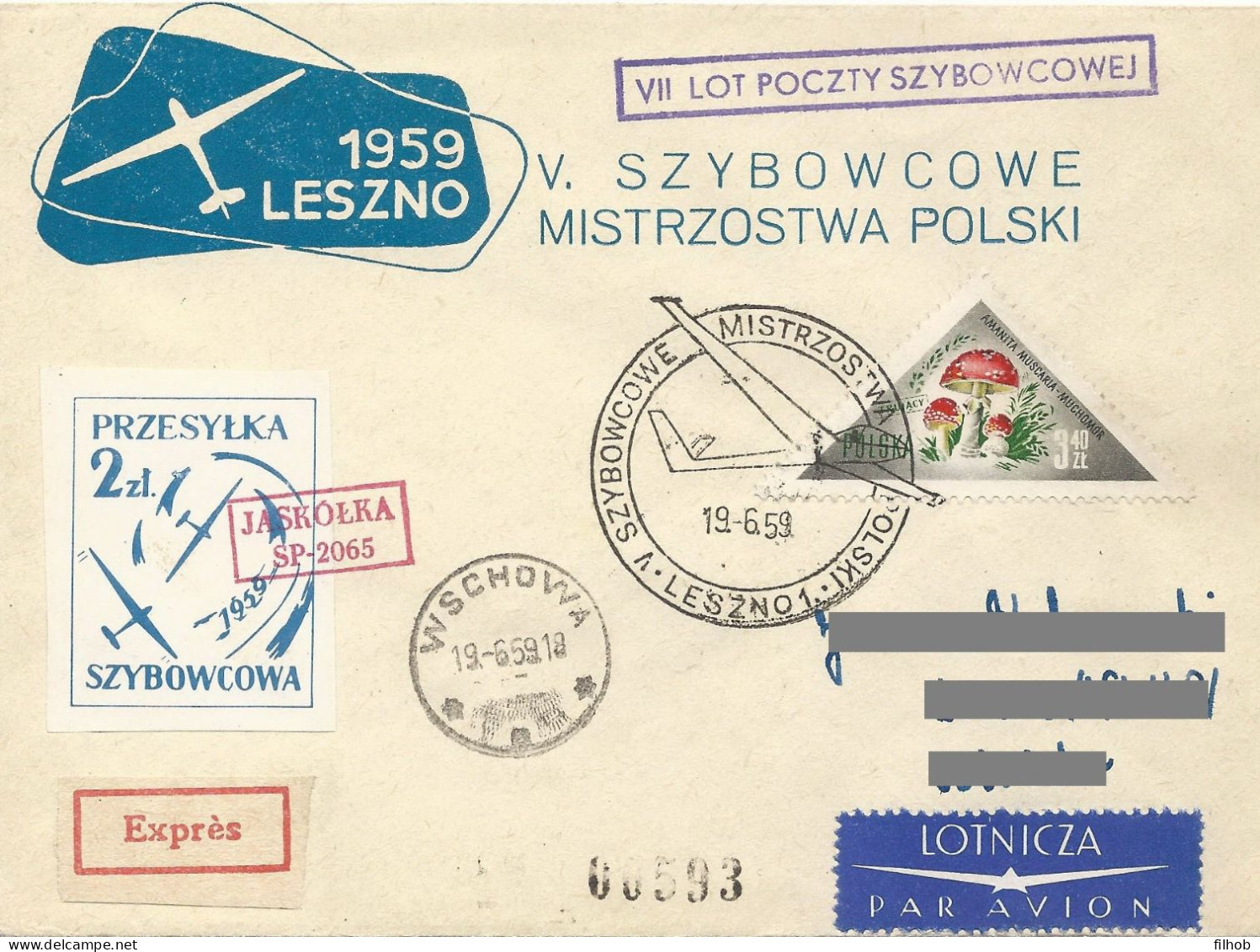 Poland Post - Glider PSZ.1959.lesz.05: Sport Leszno Polish Championships Jaskolka - Gleitflieger