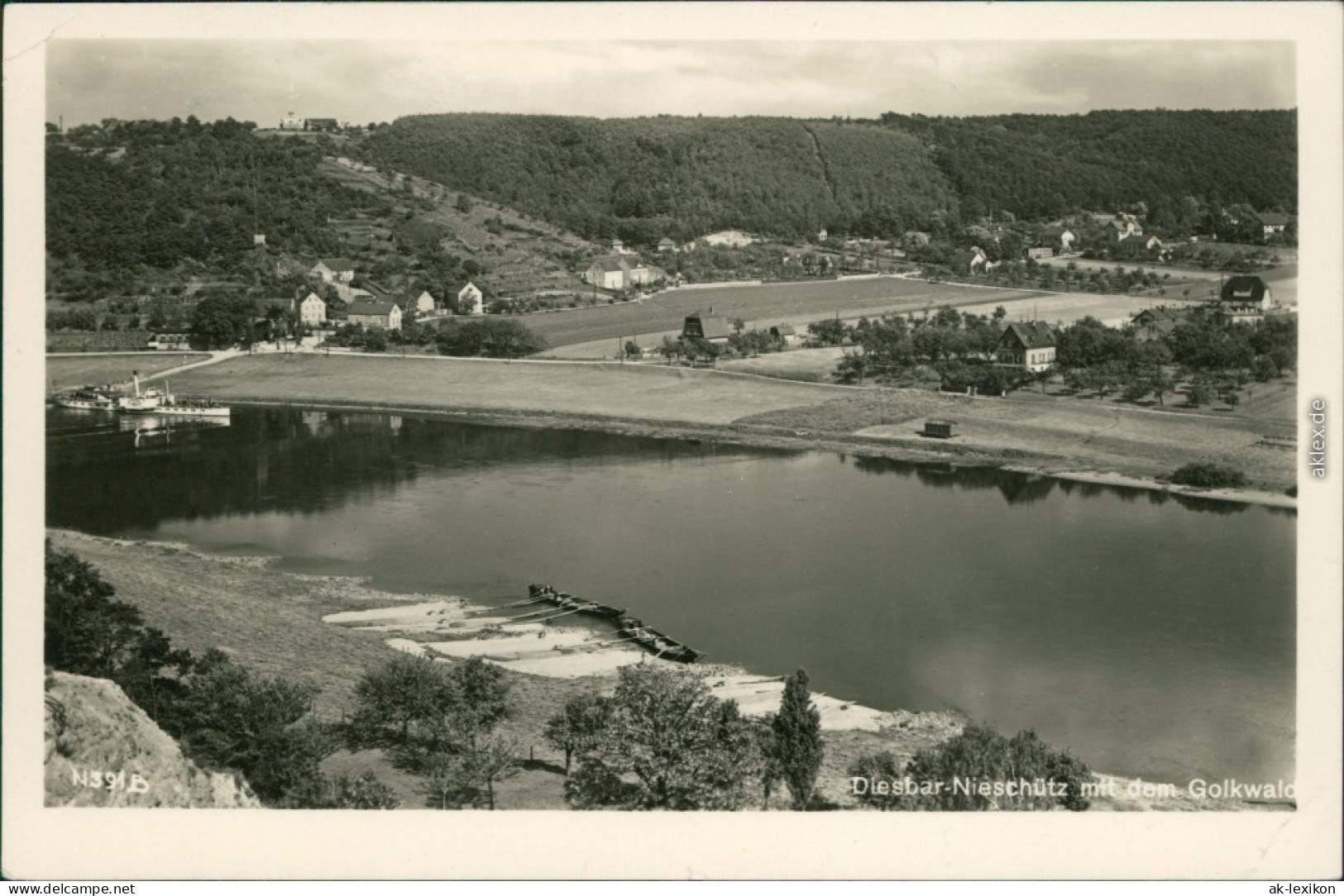 Diesbar (Elbe)-Nünchritz (Elbe) Blick Auf Den Ort, Elbe, Golkwald 1955 - Diesbar-Seusslitz