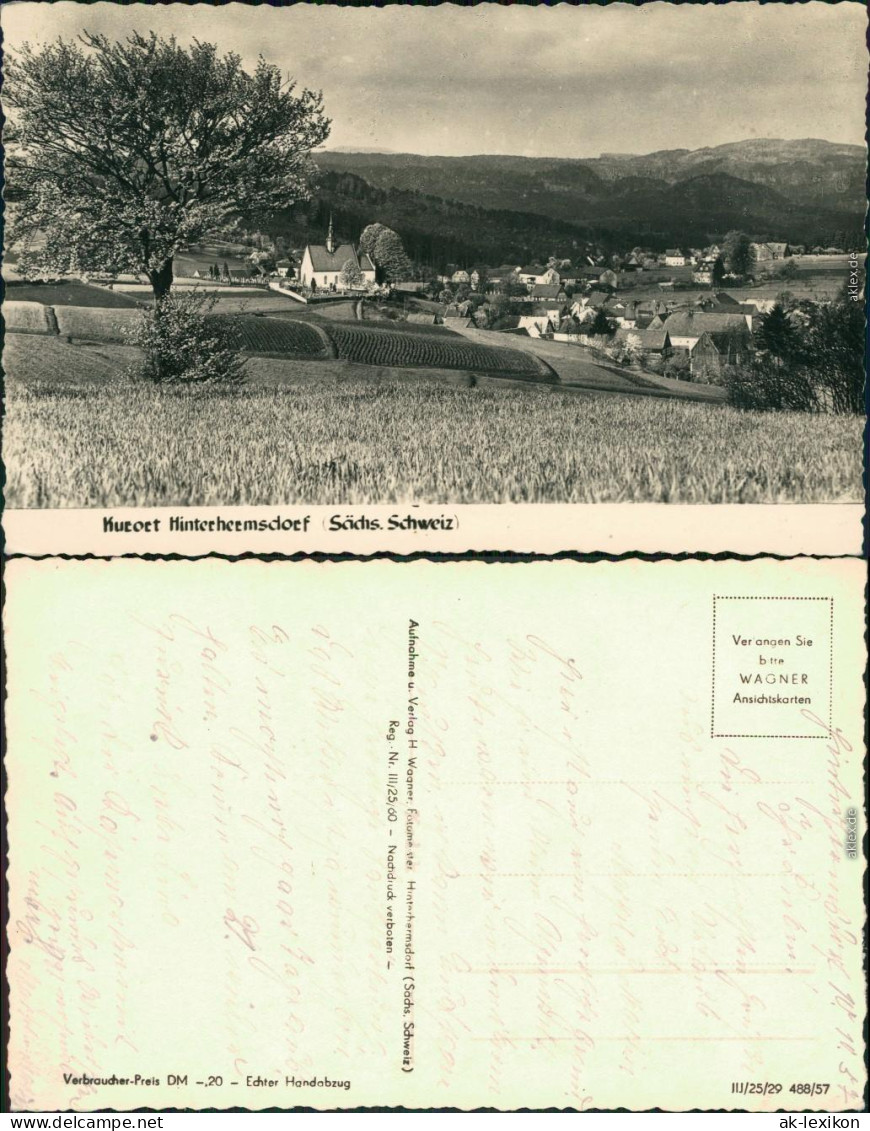 Hinterhermsdorf-Sebnitz Panorama-Ansicht Mit Kirche Im Zentrum 1955 - Hinterhermsdorf