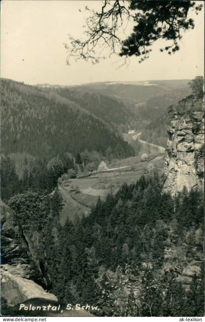 Ansichtskarte Hohnstein (Sächs. Schweiz) Polenztal 1956 - Hohnstein (Sächs. Schweiz)