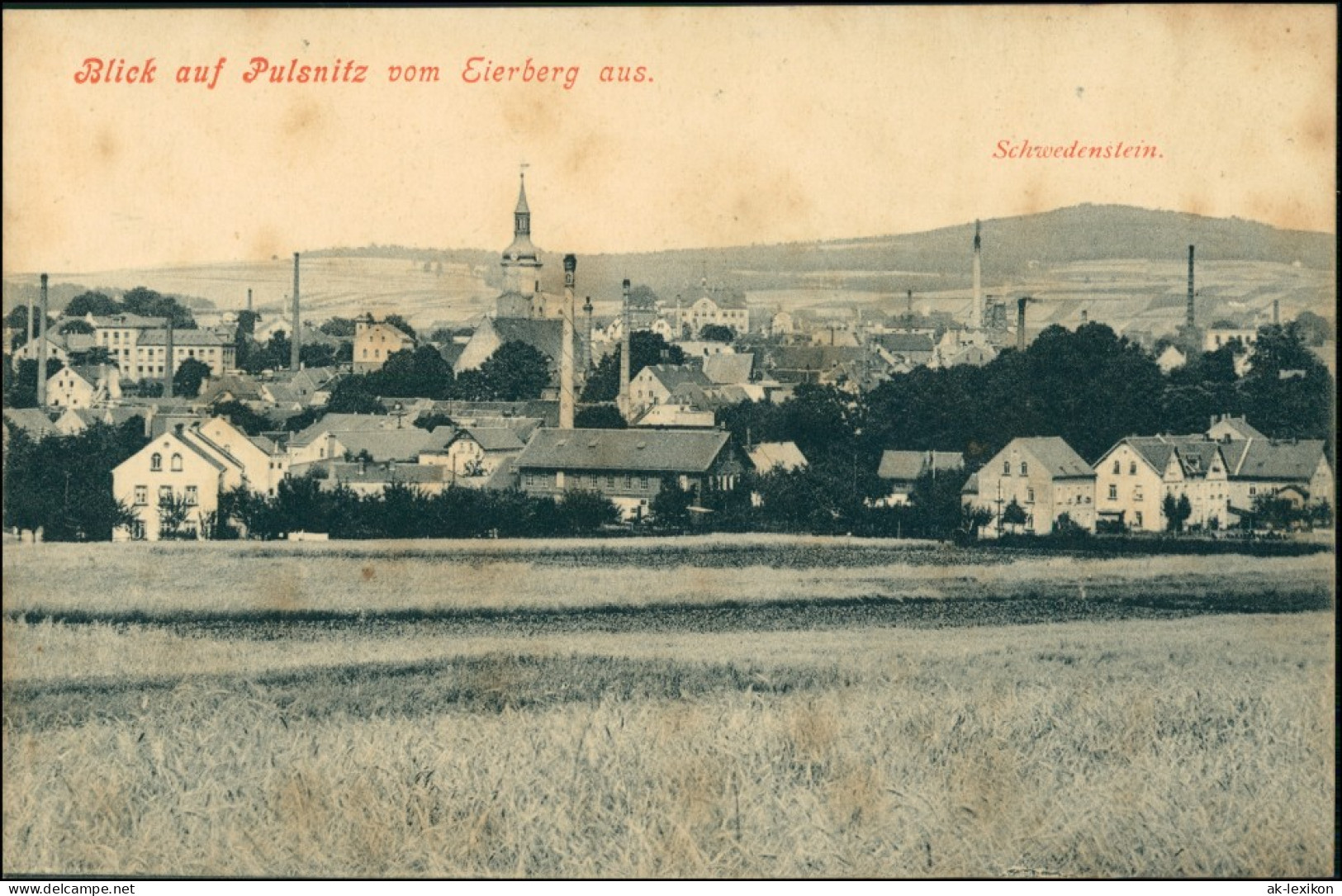 Ansichtskarte Pulsnitz Połčnica Stadt Und Fabriken Vom Eierberg 1909 - Pulsnitz