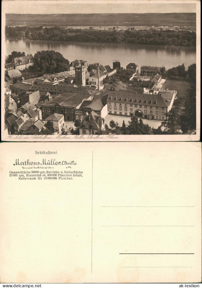 Ansichtskarte Eltville Am Rhein Luftbild Sektkellerei 1932 - Eltville