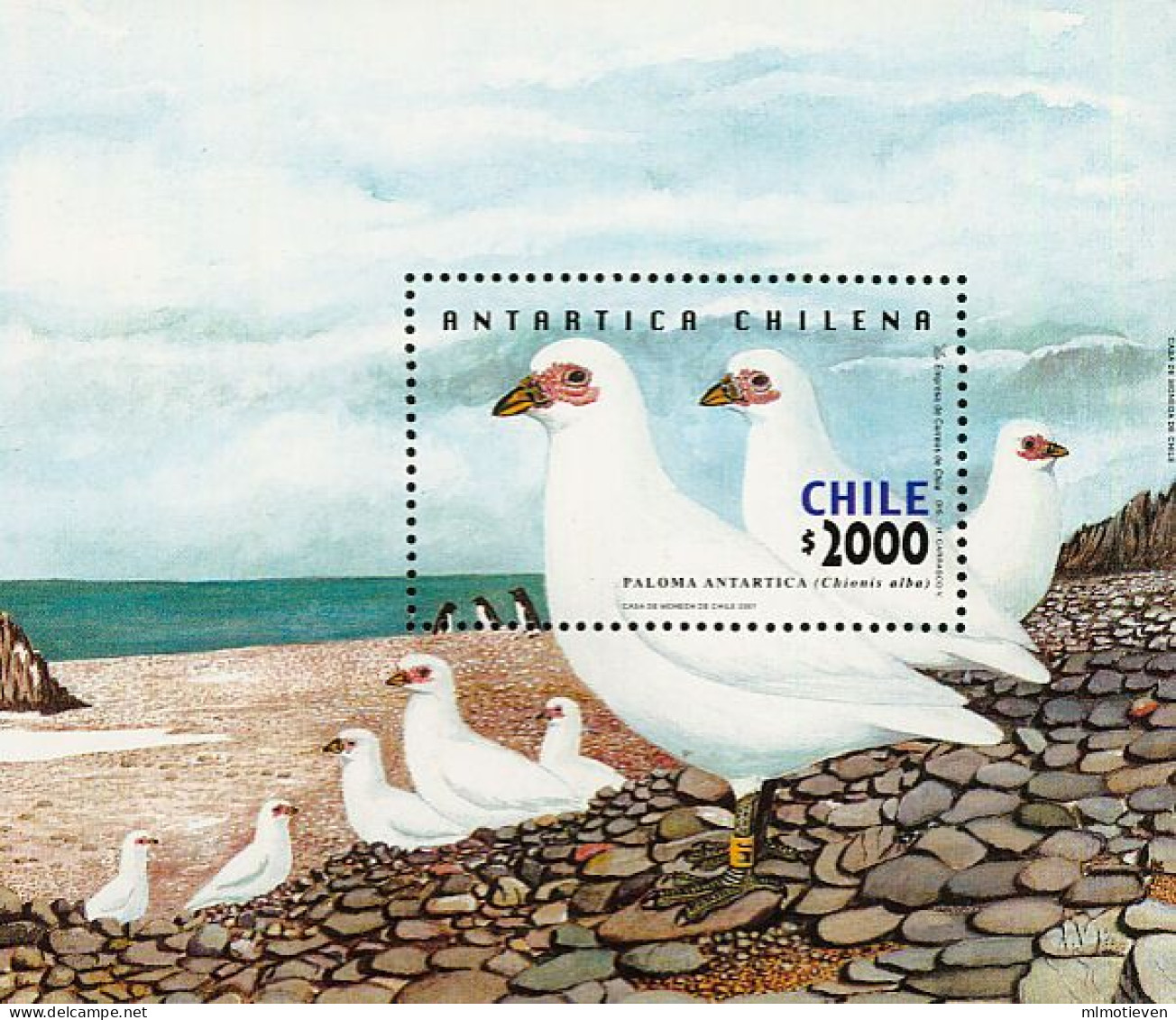 MDB-BK9-264 MINT ¤ CHILENA  2001 BLOCK ¤ - BIRDS OF THE WORLD - VOGELS - OISEAUX - VÖGEL - VOGELS - AVES - Palmípedos Marinos