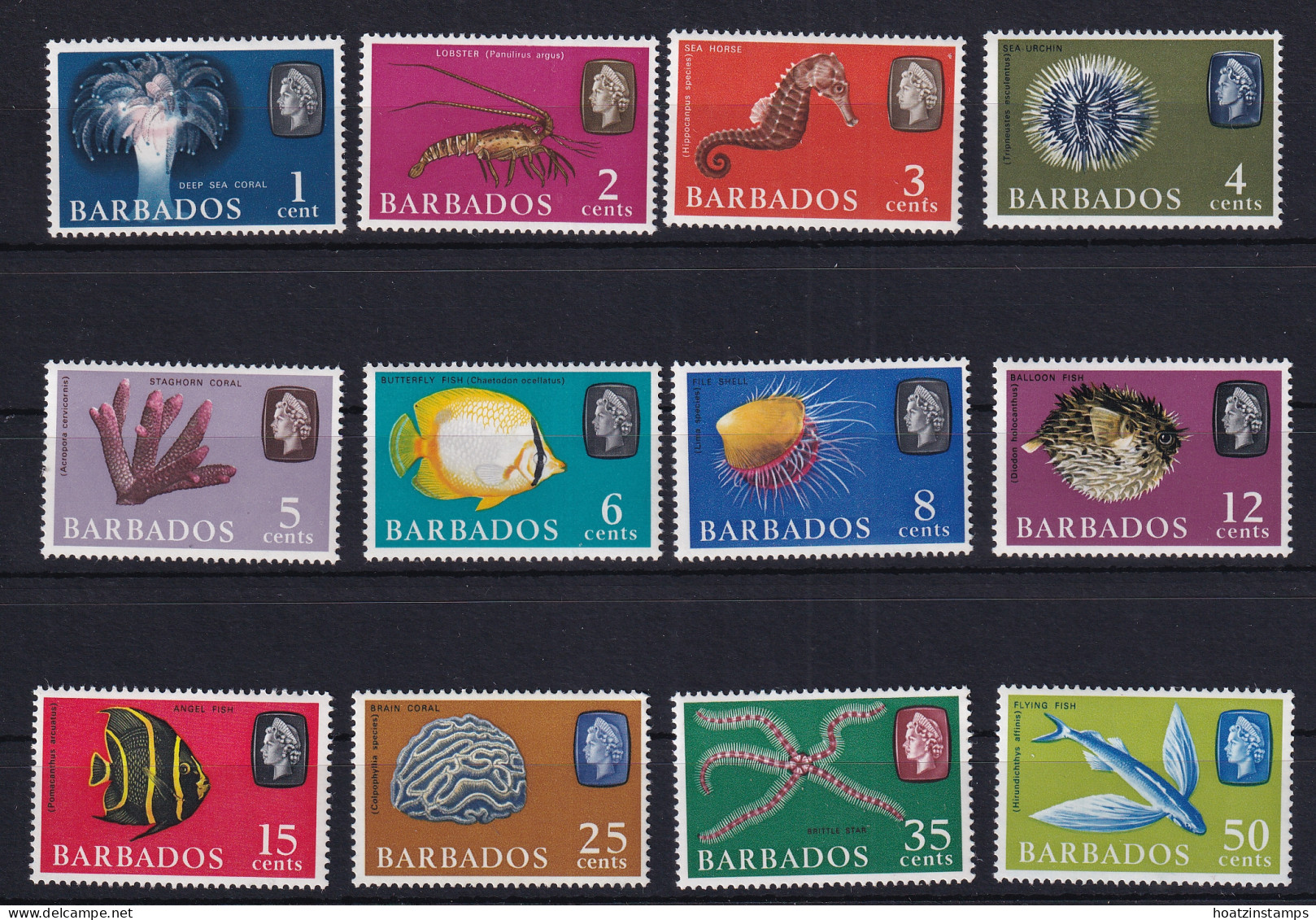 Barbados: 1965   Marine Life To 50c    SG322-333   [Wmk Upright]   MNH - Barbados (...-1966)