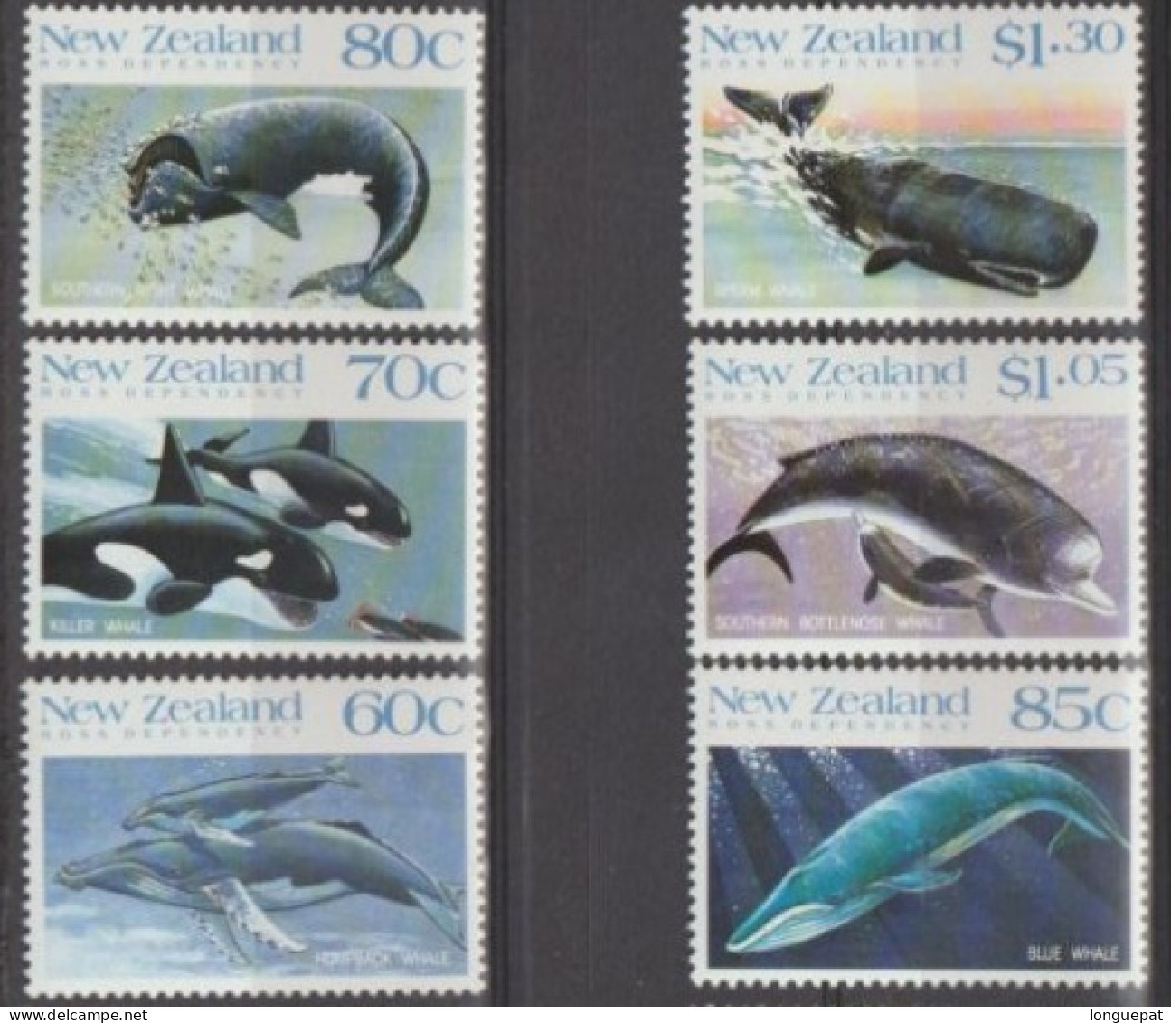 Nouvelle Zélande (Terre De ROSS) - Mammifères Marins : Megaptera Novaeanglie, Orcinus Orca, Eubalena Australis, Balaenop - Ongebruikt