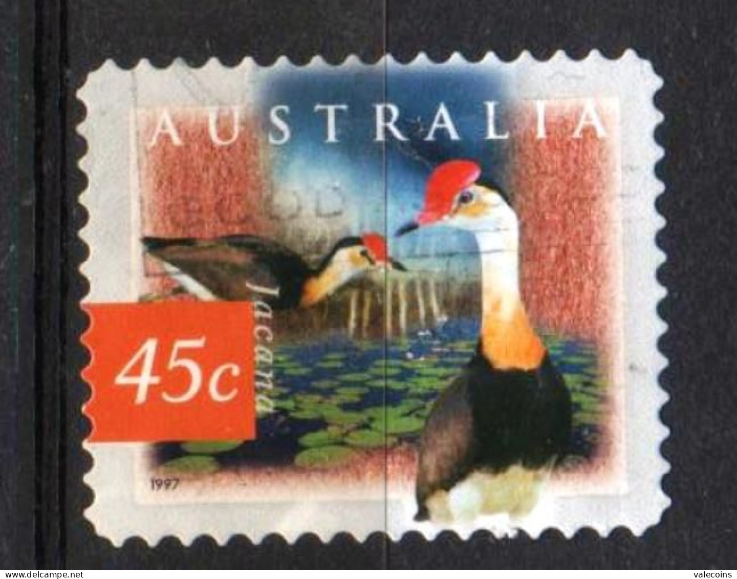 AUSTRALIA - 1997 - Jacana Crestata - 45 Cent - Uccelli Birds  - Used Stamp        MyRef:EX - Collections, Lots & Séries