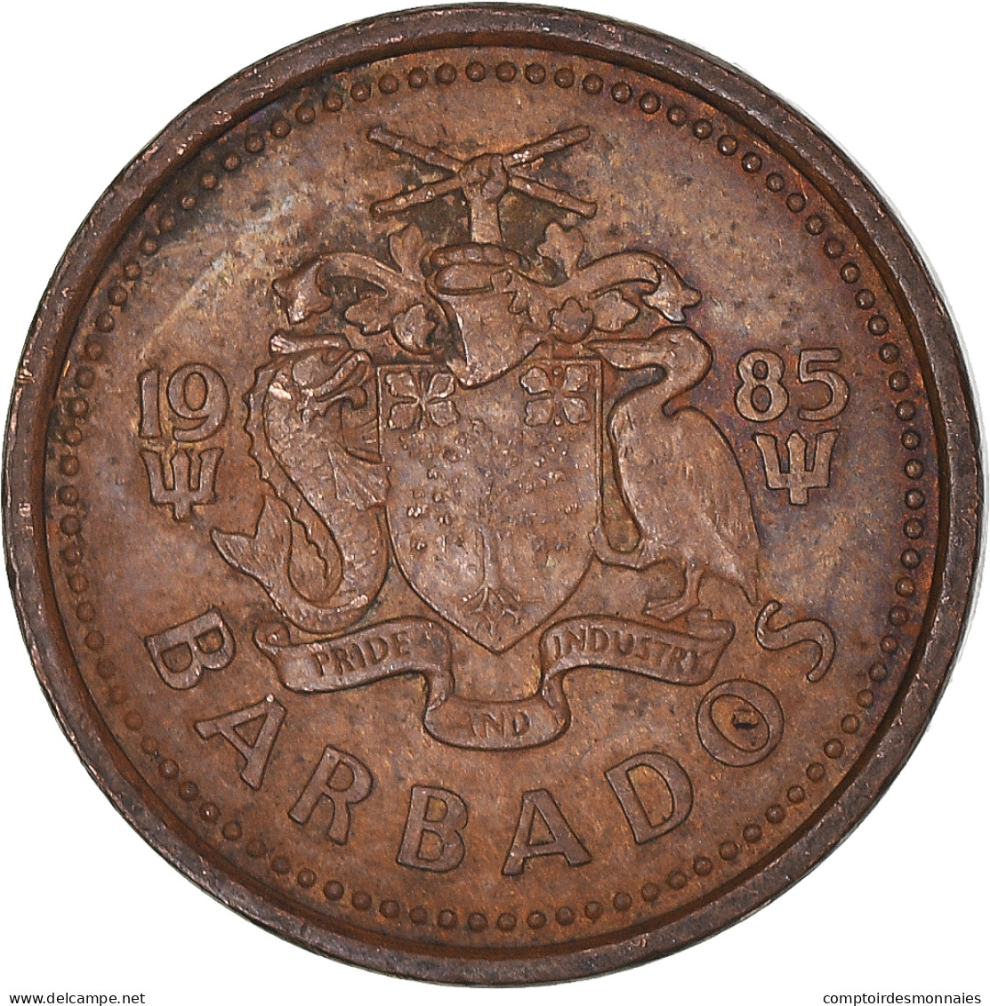 Monnaie, Barbade, Cent, 1985 - Barbados (Barbuda)