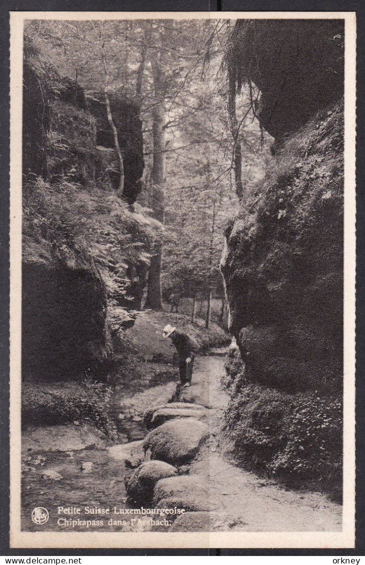 Luxemburg Chipkapass Dans L'Acsbach - Müllerthal