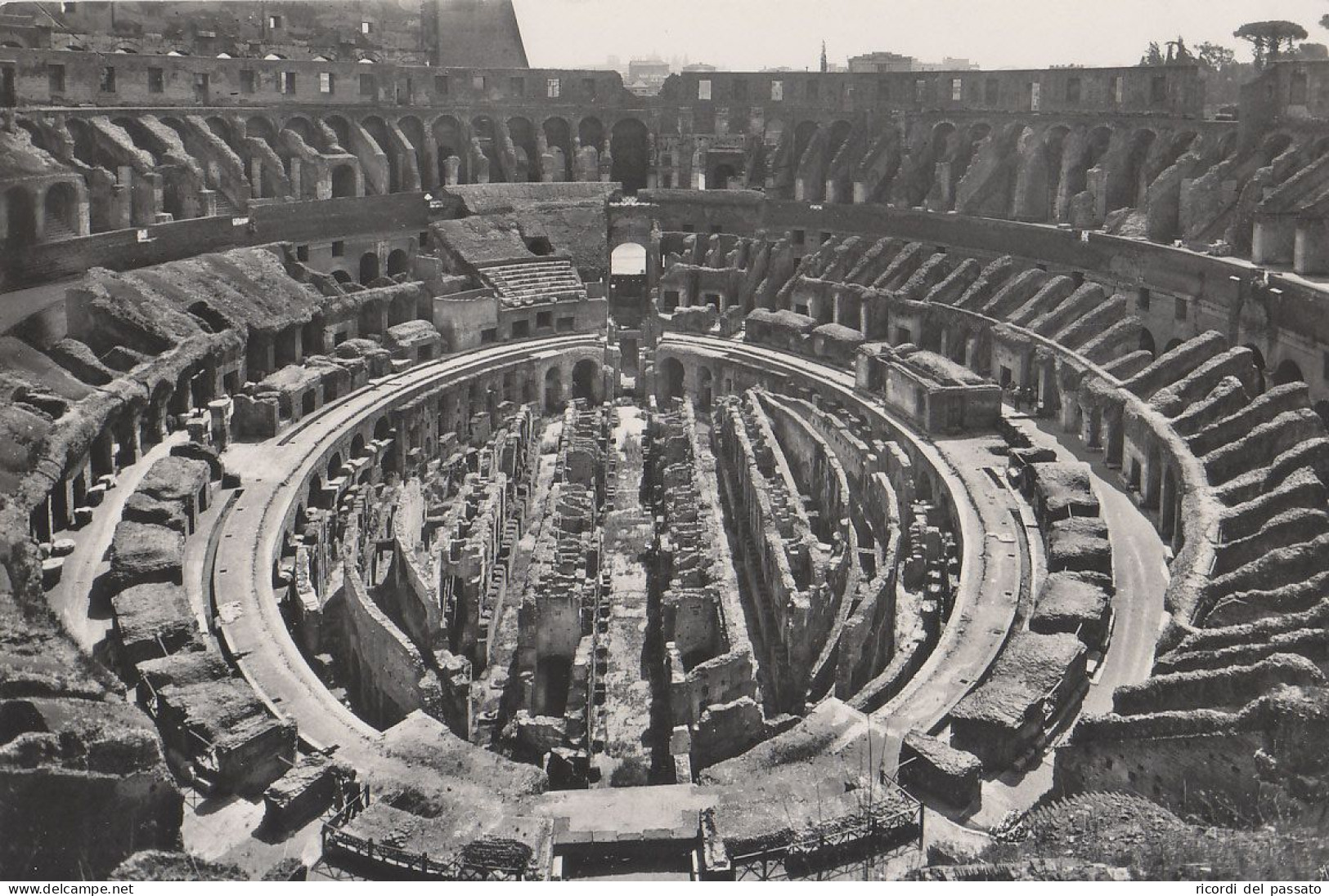 Cartolina Roma - Interno Del Colosseo - Colosseum