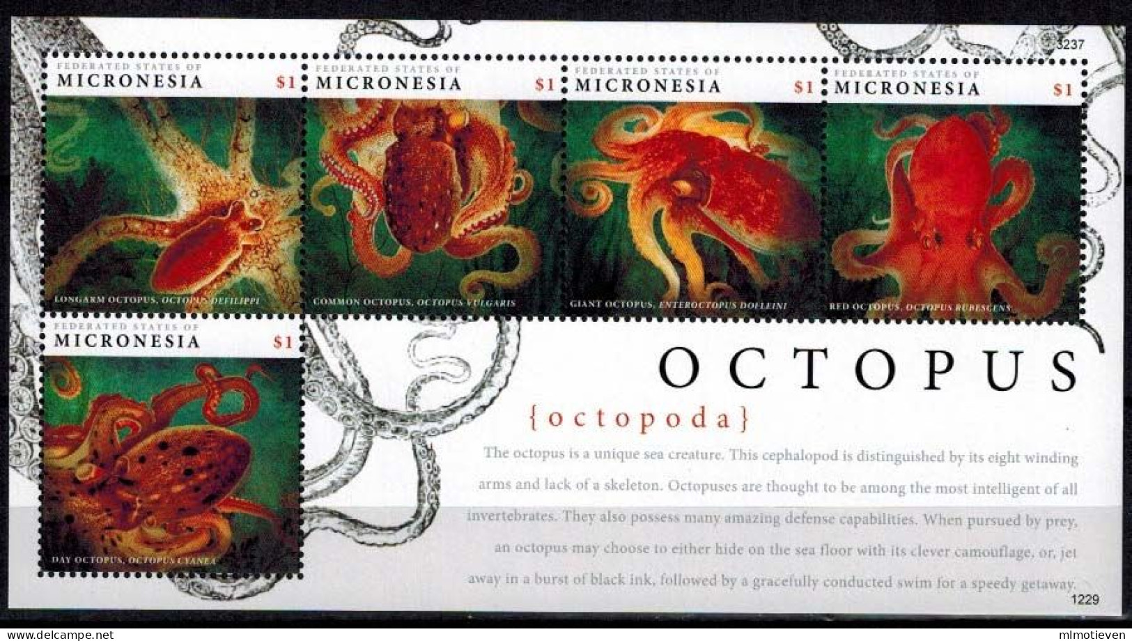 MDN-BK20-531 MINT POSTFRIS ¤ MICRONESIA 2013 KOMPL. SET ¤ OCTOPUS - SEALIFE - MARINE LIFE - Delfini