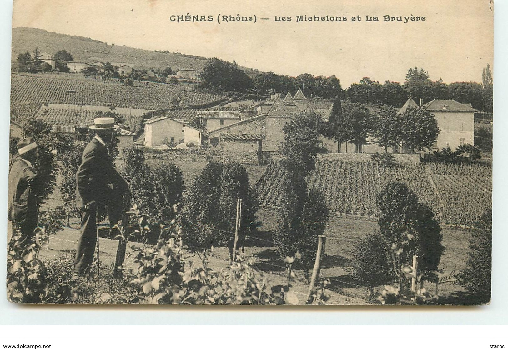 CHENAS - Les Michelons Et La Bruyère - Vignes - Vin - Chenas