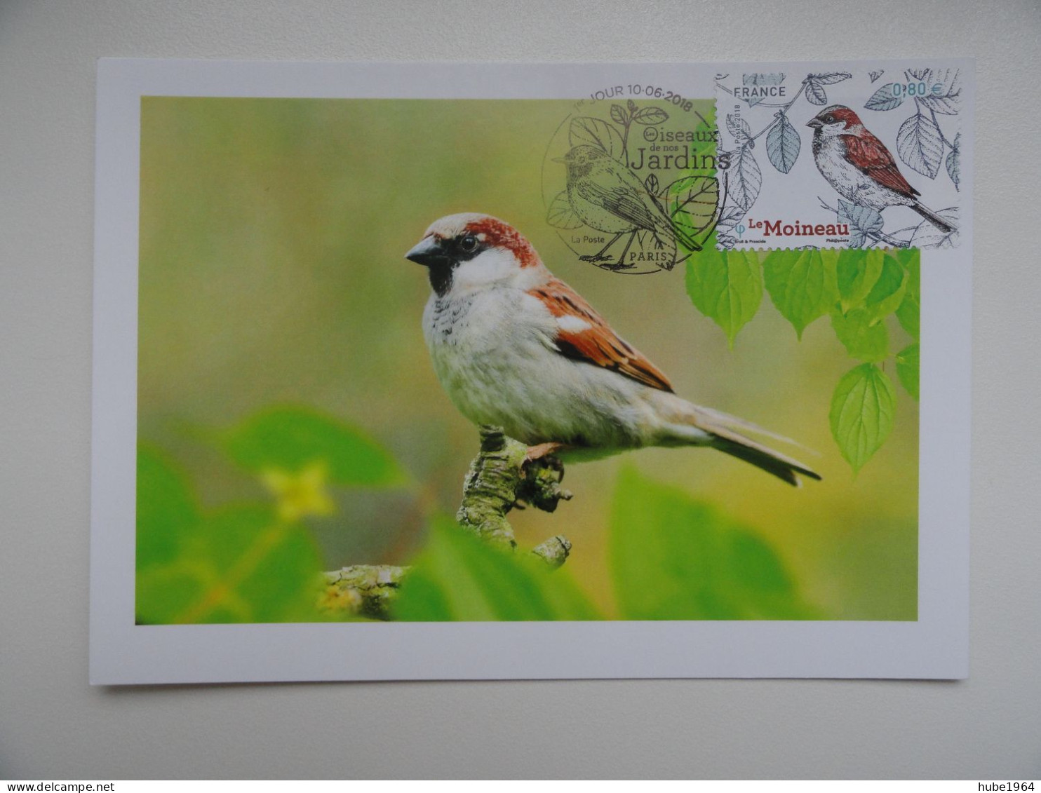 CARTE MAXIMUM CARD 4 CM BLOC DES OISEAUX: MESANGE BLEUE, ROUGE-GORGE, MOINEAU Et PIE BAVARDE OPJ PARIS FRANCE - Sparrows
