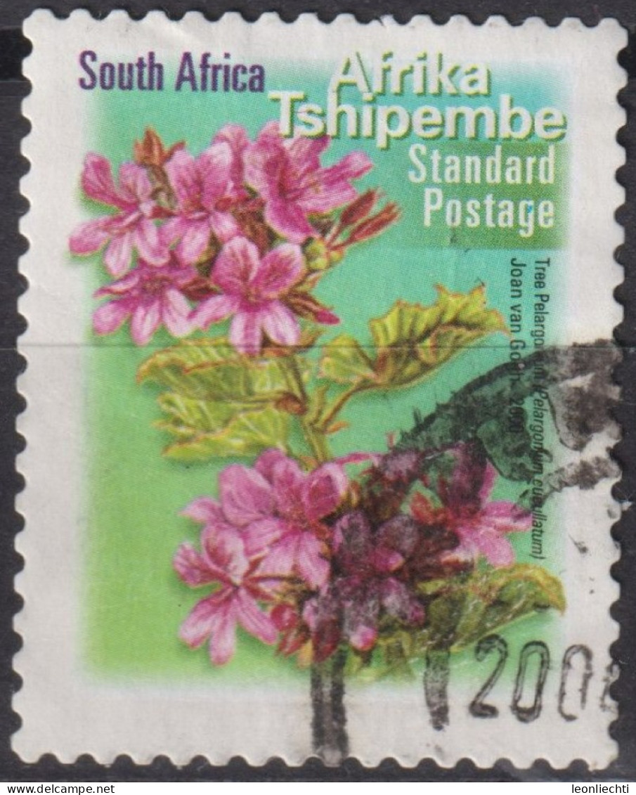 2000 Südafrika ° Mi:ZA 1299, Sn:ZA 1187, Yt:ZA 1127AD,Tree Pelargonium (Pelargonium Cucullatum) - Used Stamps