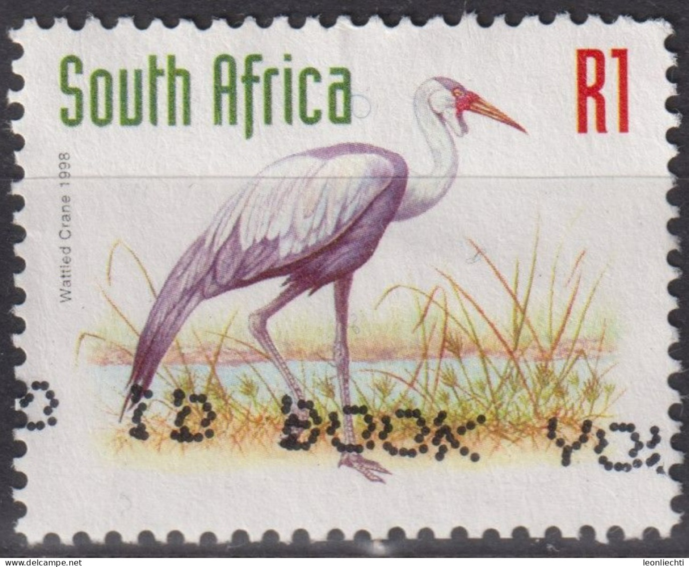 1997 Südafrika ° Mi:ZA 1109A, Sn:ZA 1031, Yt:ZA 994, Wattled Crane (Bugeranus Carunculatus), Tiere, - Ooievaars
