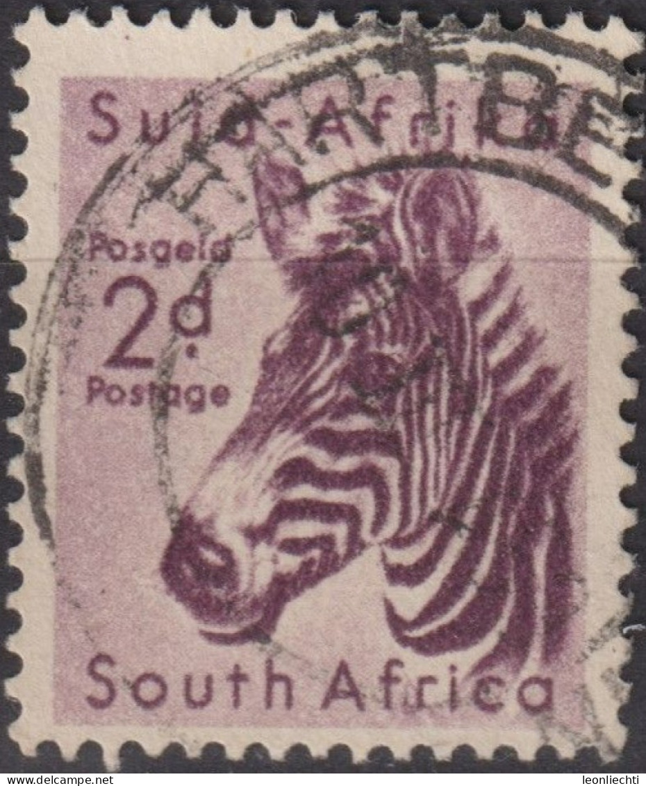 1954 Südafrika ° Mi:ZA 242, Sn:ZA 203, Yt:ZA 204, Mountain Zebra (Equus Zebra) - Usados