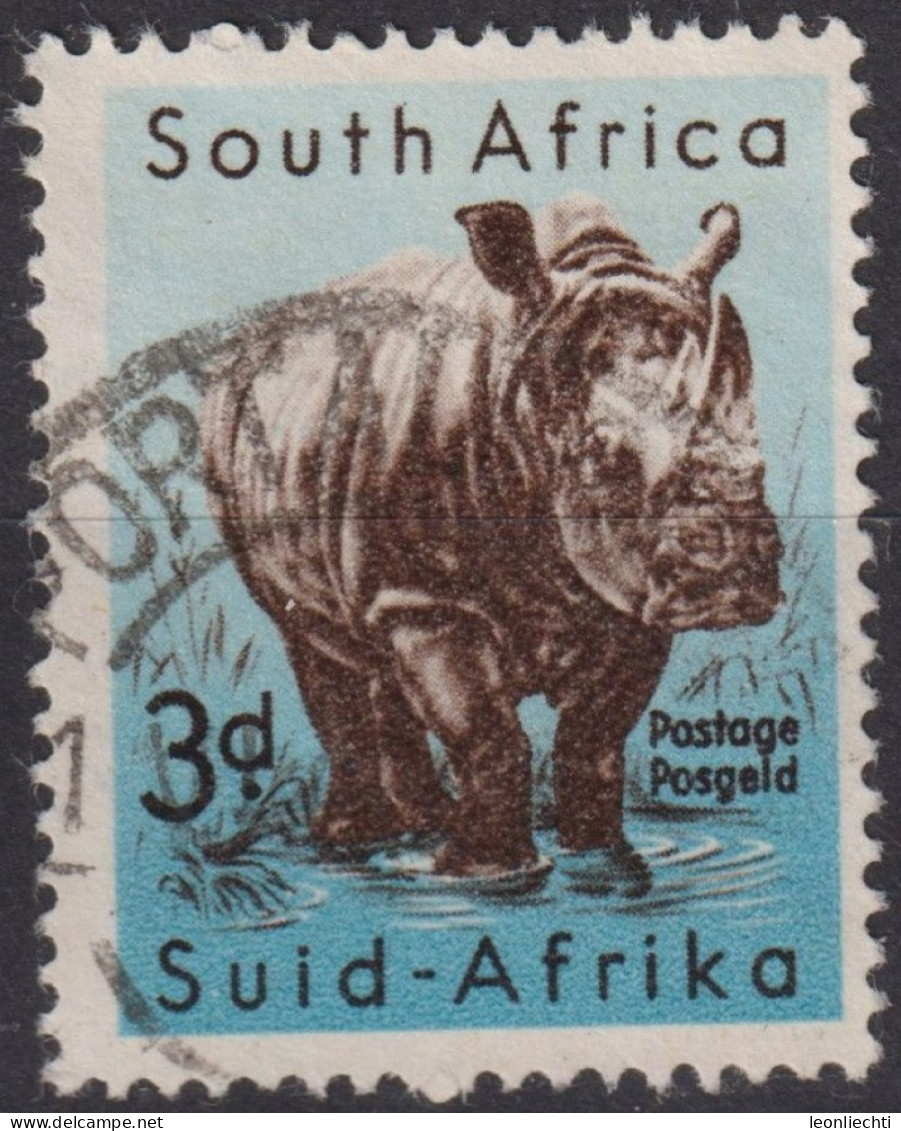 1959 Südafrika ° Mi:ZA 261, Sn:ZA 223, Yt:ZA 223, White Rhinoceros (Cerototherium Simum) - Usados