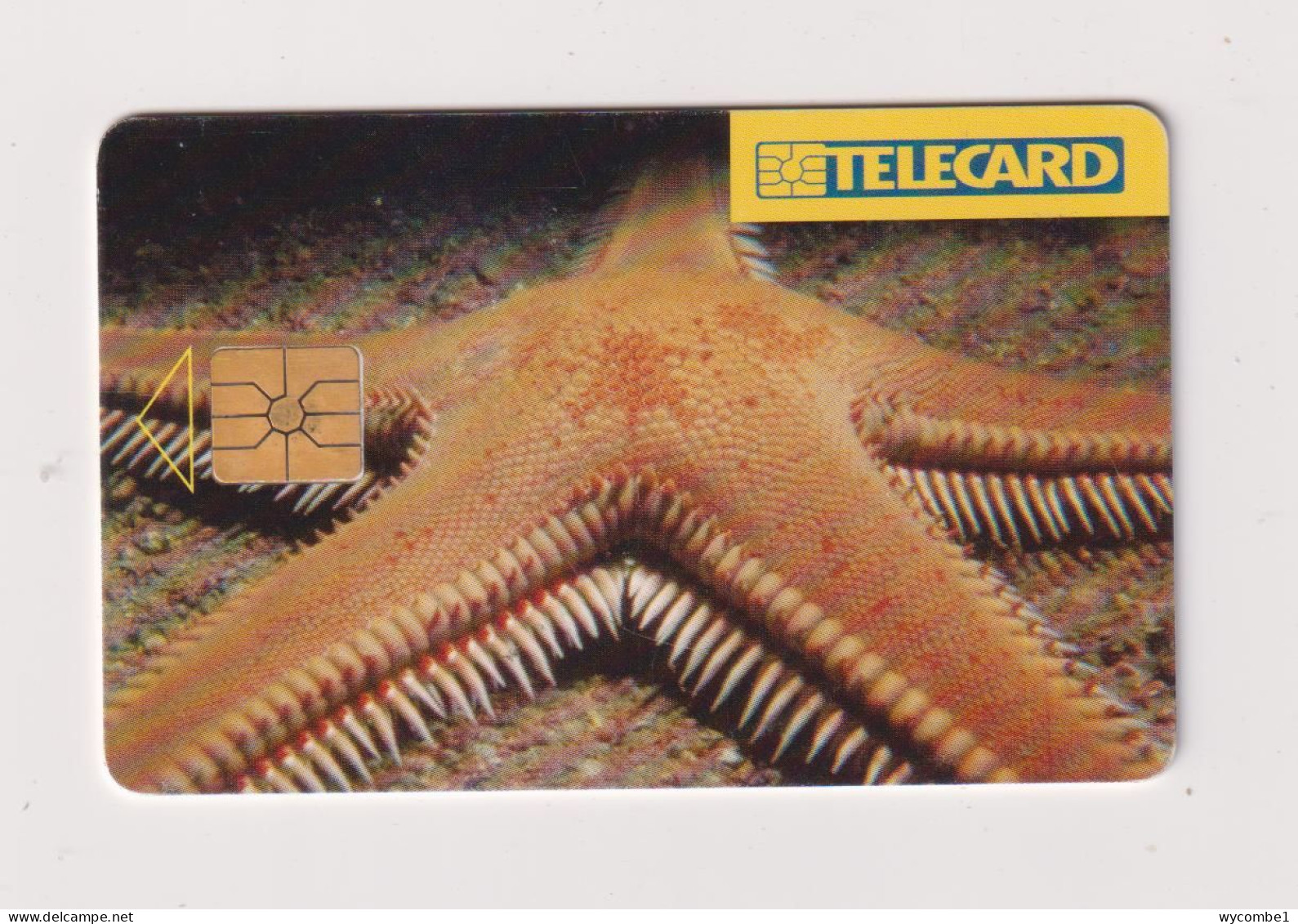 CZECH REPUBLIC - Starfish Chip Phonecard - Repubblica Ceca