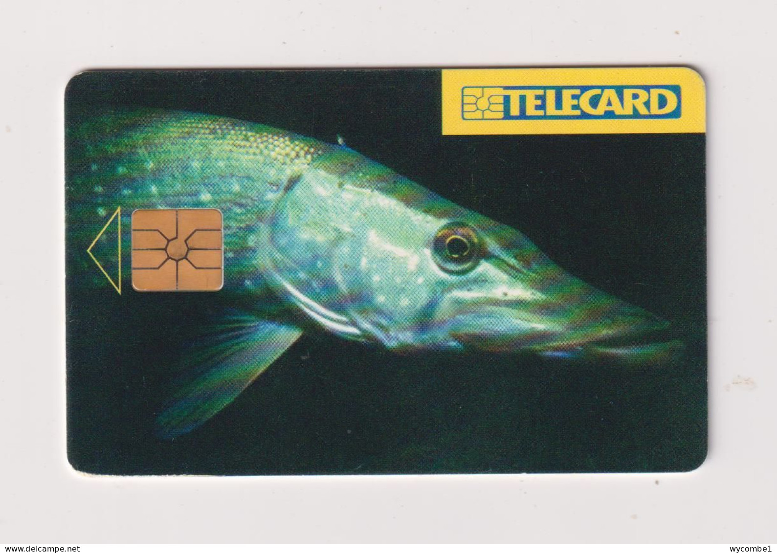 CZECH REPUBLIC - Fish Pike Chip Phonecard - República Checa