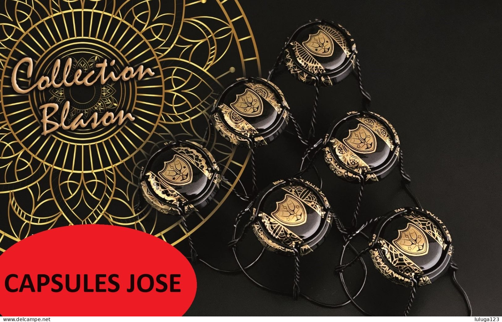 News - Série De 6 Capsules De Champagne GENERIQUE (Blasons) - Sammlungen