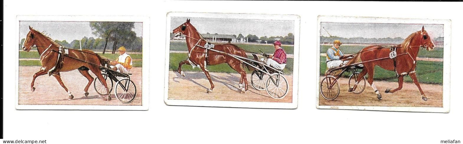 BR63 - IMAGES CIGARETTES JOSETTI - CHEVAUX DE COURSES - TROP ATTELE - Equitazione