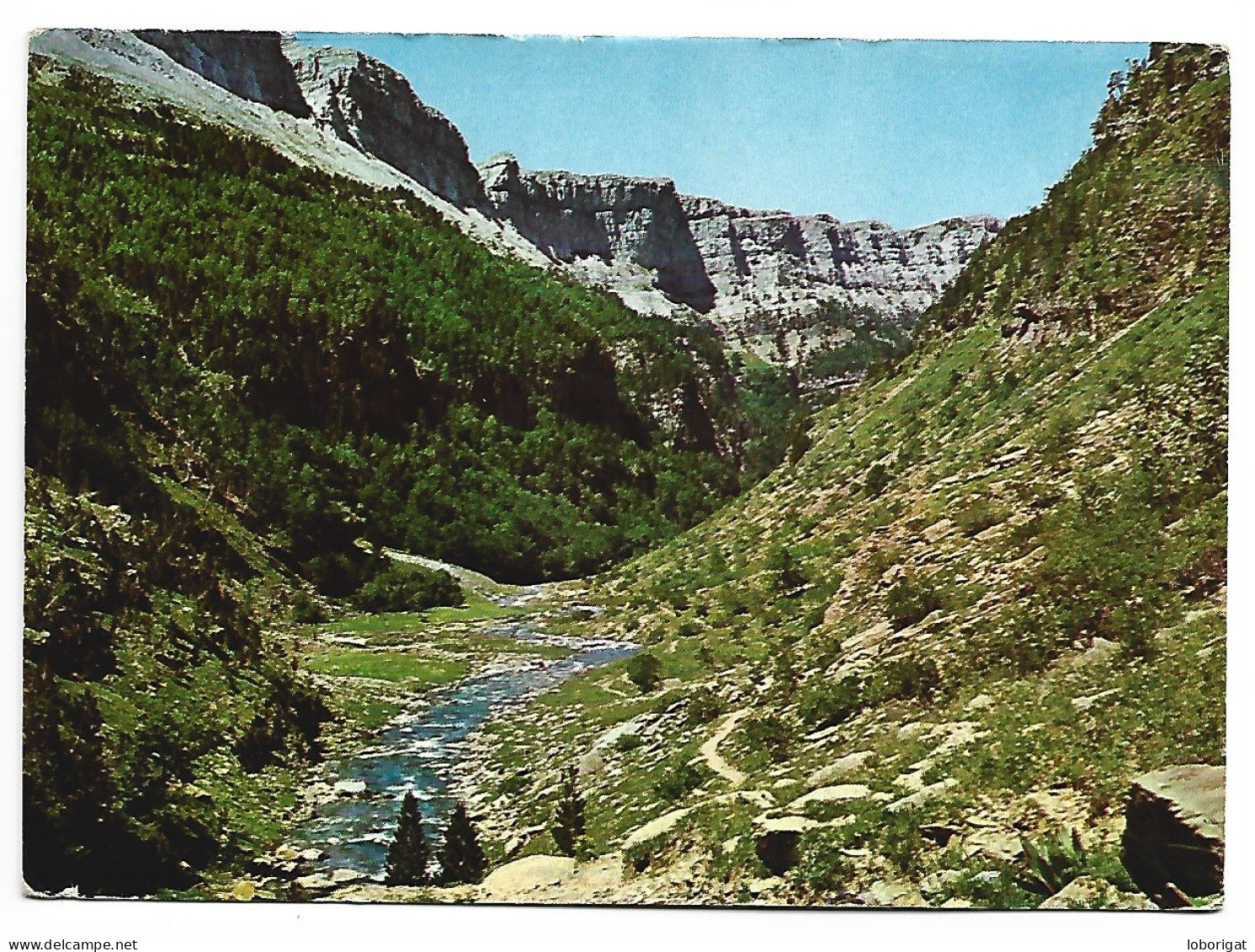 RIBERETA DE ARAZAS.-  PARQUE NACIONAL DE ORDESA.- HUESCA.- ( ESPAÑA ) - Huesca