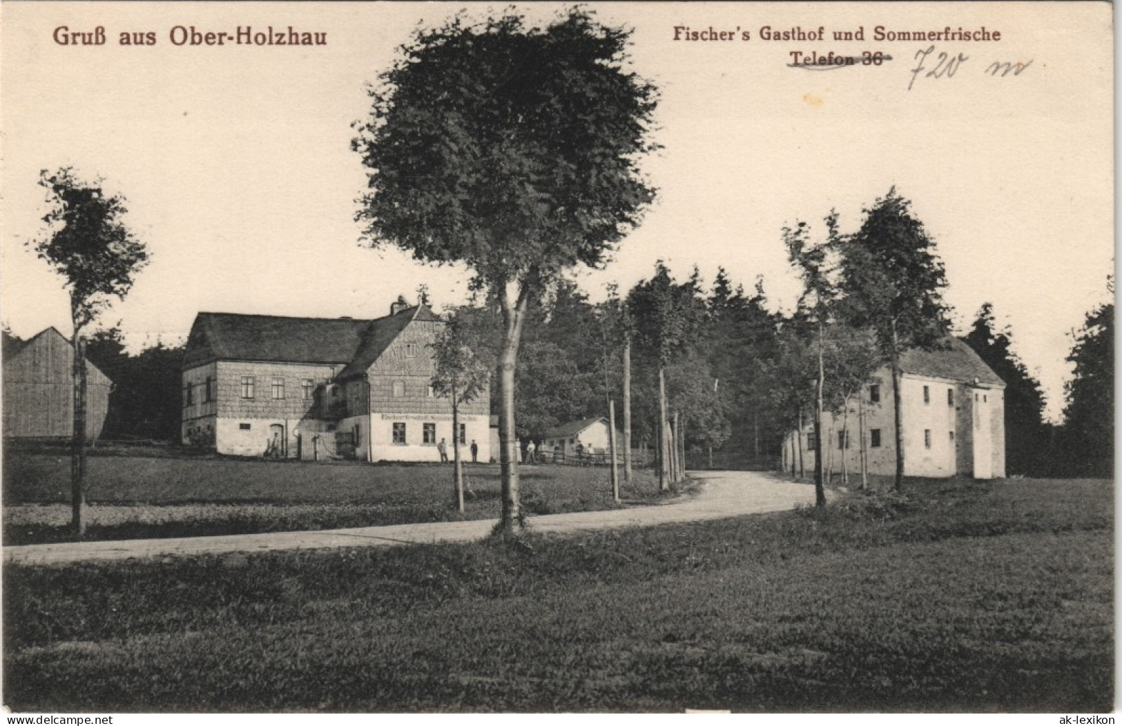 Holzhau-Rechenberg-Bienenmühle Fischers Gasthof Und Sommerfrische 1922 - Holzhau