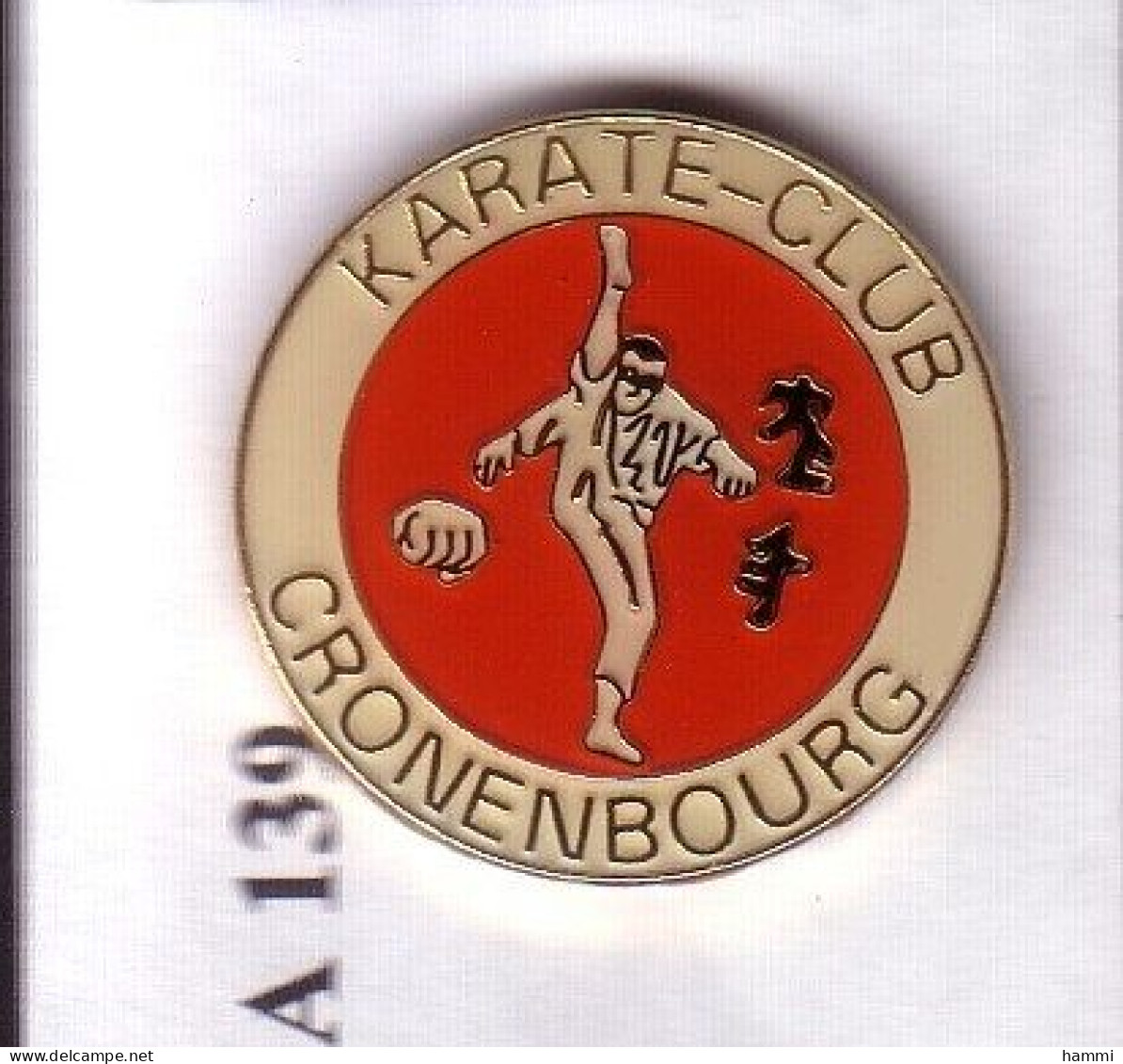 A139 Pin's JUDO KARATÉ Club AÏKIDO ARTS MARTIAUX CRONENBOURG Quartier Strasbourg Alsace Achat Immédiat - Judo