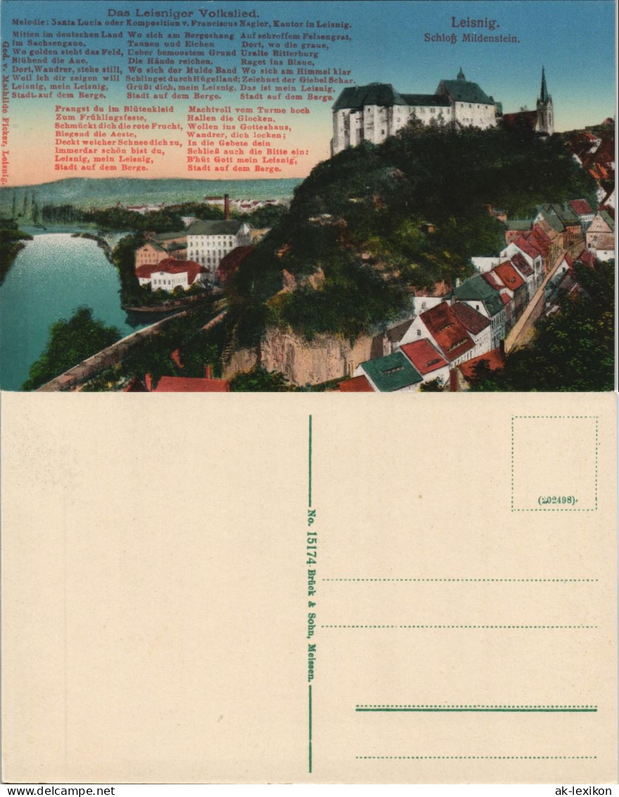 Ansichtskarte Leisnig Stadt, Text 1915 - Leisnig