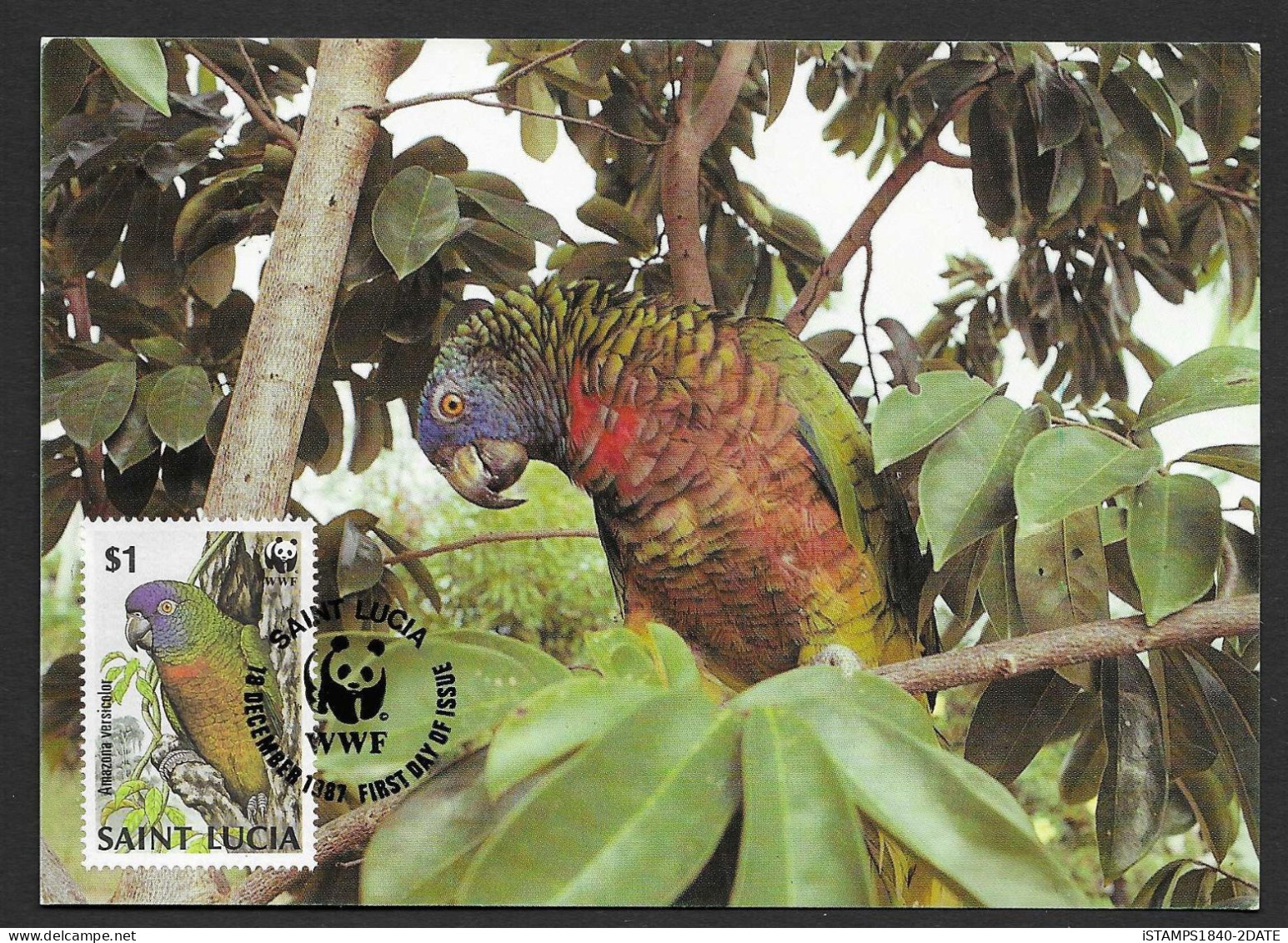 00461/ St Lucia 1987 $1 First Day Issue Maximum Card Parrot (Animals) - Papagayos