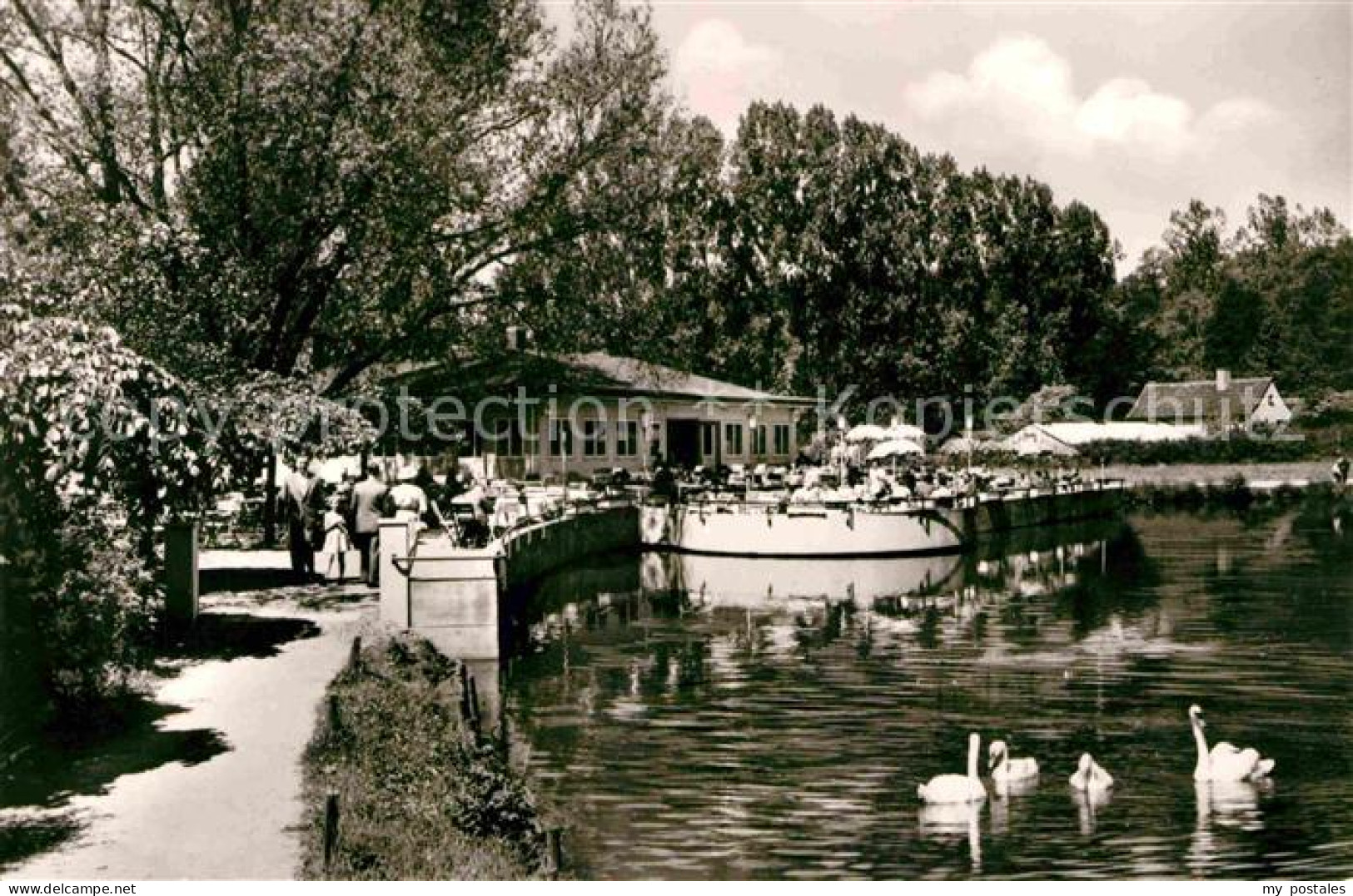 72659524 Gandersheim Bad Seeterrassen Schwan Gandersheim Bad - Bad Gandersheim