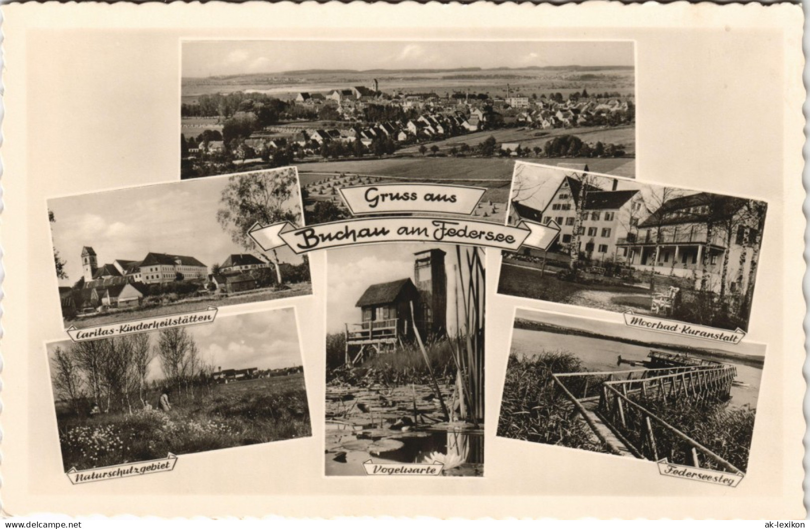 Bad Buchau Mehrbild-AK Mit Caritas Kinderheilstätten, Vogelwarte Uvm. 1950 - Bad Buchau