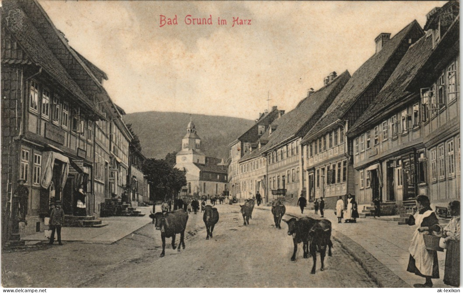 Ansichtskarte Bad Grund (Harz) Straße Viehabtrieb 1905 - Bad Grund