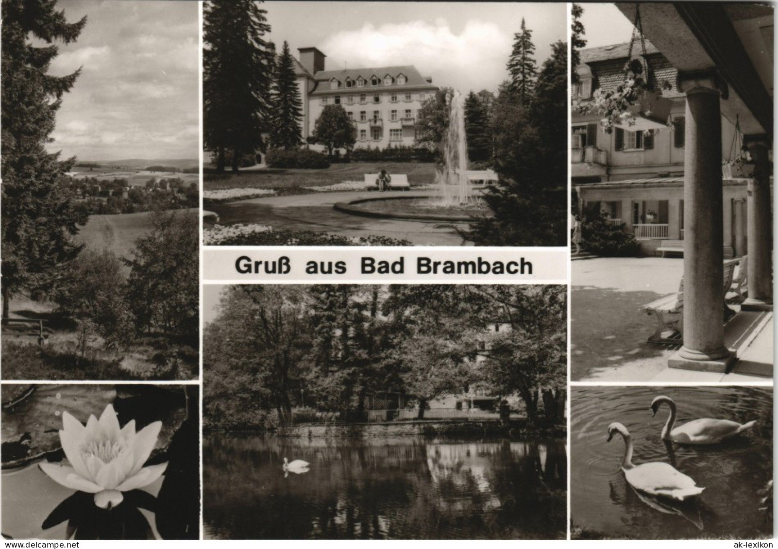 Ansichtskarte Bad Brambach DDR Mehrbild-AK Mit Sanatorium J.-Curie-Haus 1980 - Bad Brambach
