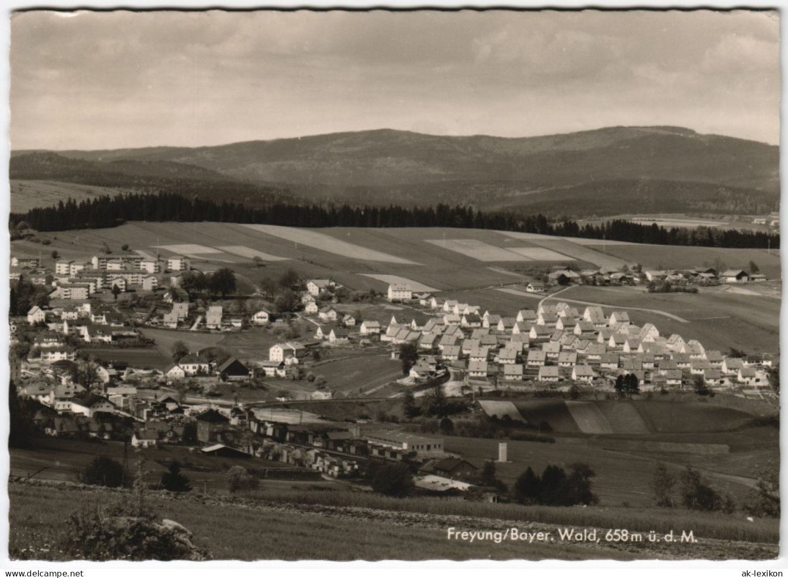 Ansichtskarte Freyung Panorama Mit Blick Auf Wohnsiedlung 1965 - Freyung