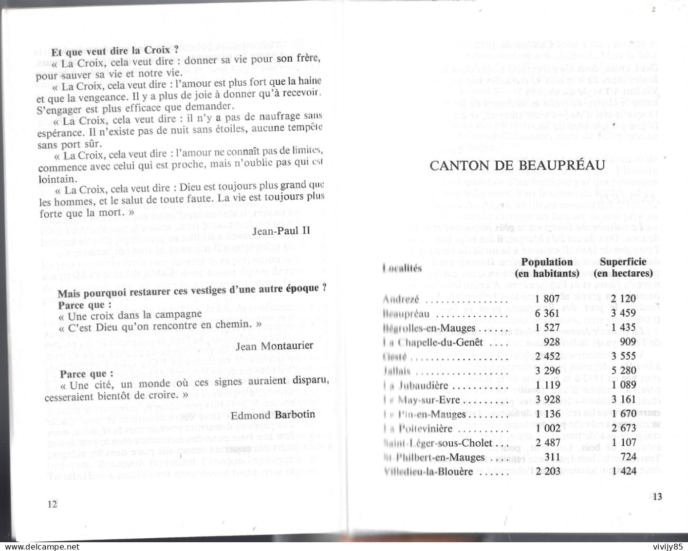 49 - T.B. Livre " Témoins Muets Vendée Angevine" - CHOLET-BEAUOREAU-CHEMILLE-THOUARCE-VIHIERS - Pays De Loire