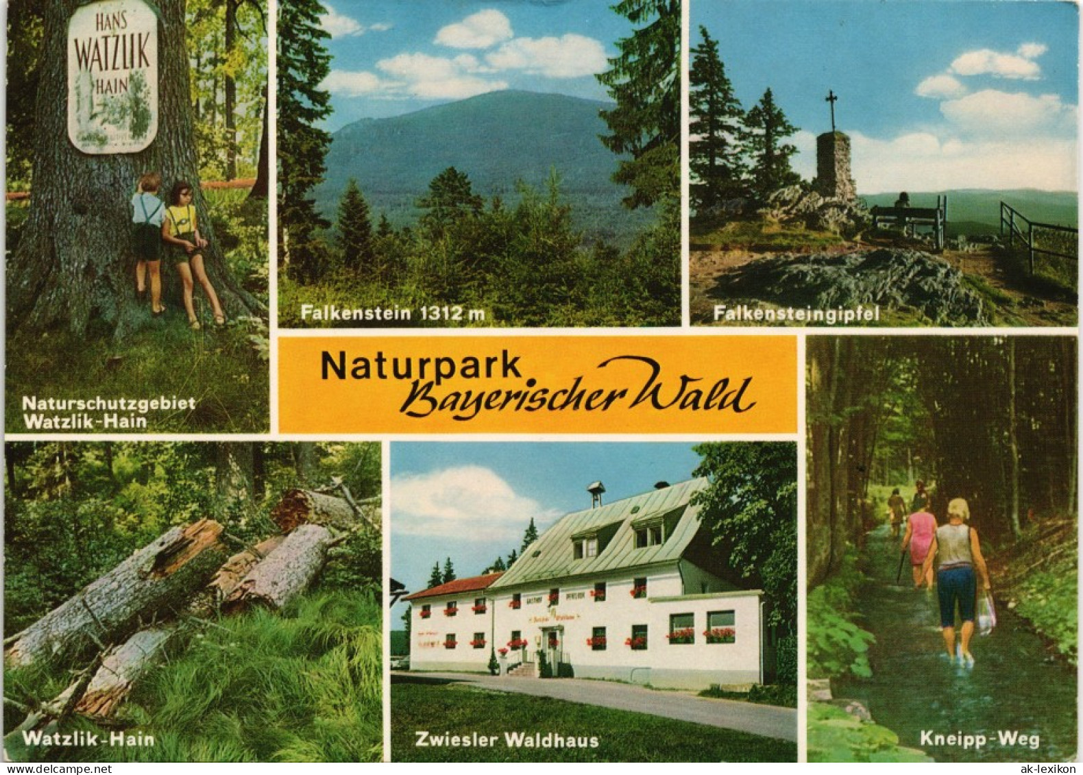 Ansichtskarte Zwiesel Naturpark-Bayerischer-Wald Mehrbild-AK Div. Orte 1976 - Zwiesel