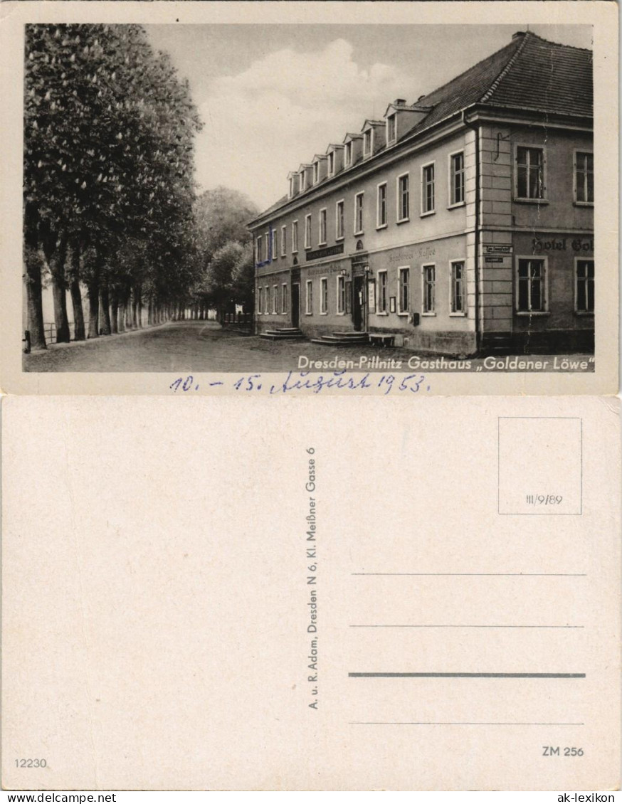 Ansichtskarte Pillnitz Gasthaus Goldener Löwe 1950 - Pillnitz