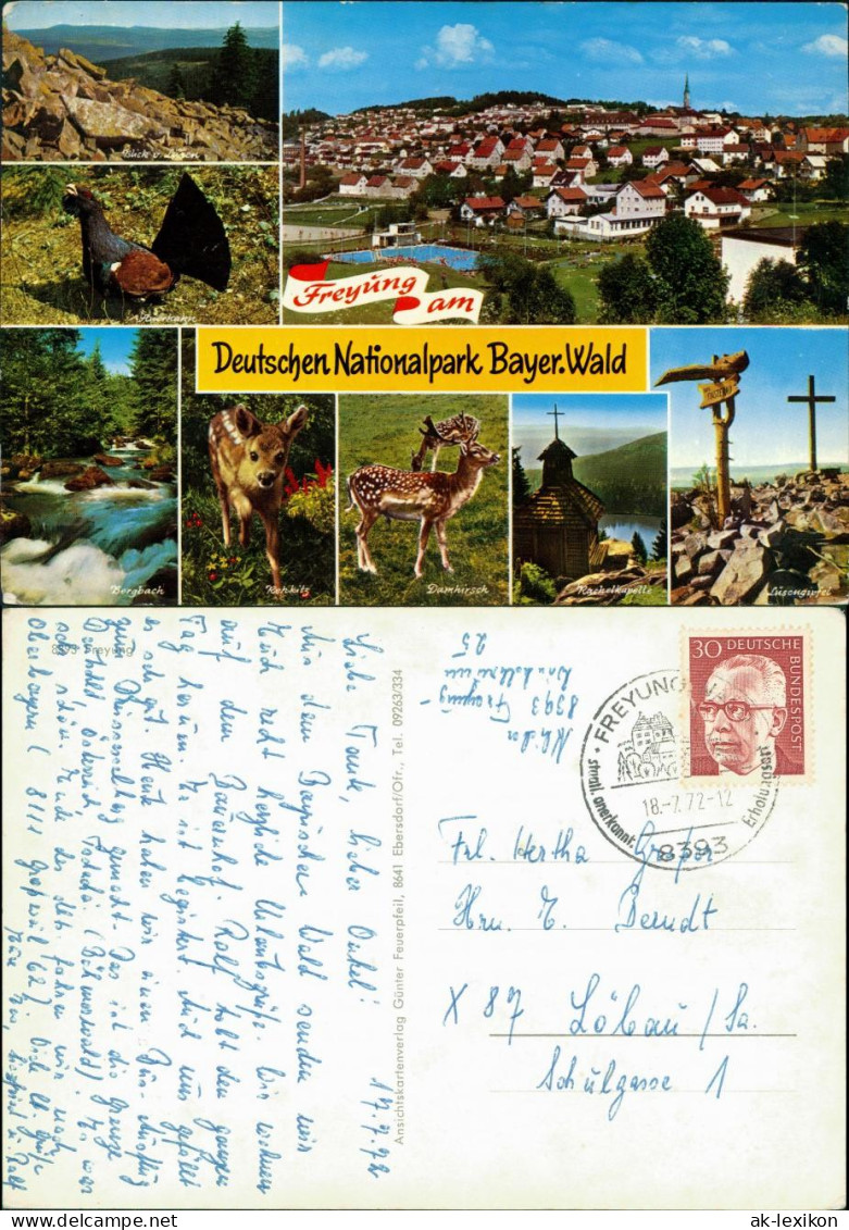 Freyung Mehrbild-AK Ort Im Deutschen Nationalpark Bayer. Wald 1972 - Freyung
