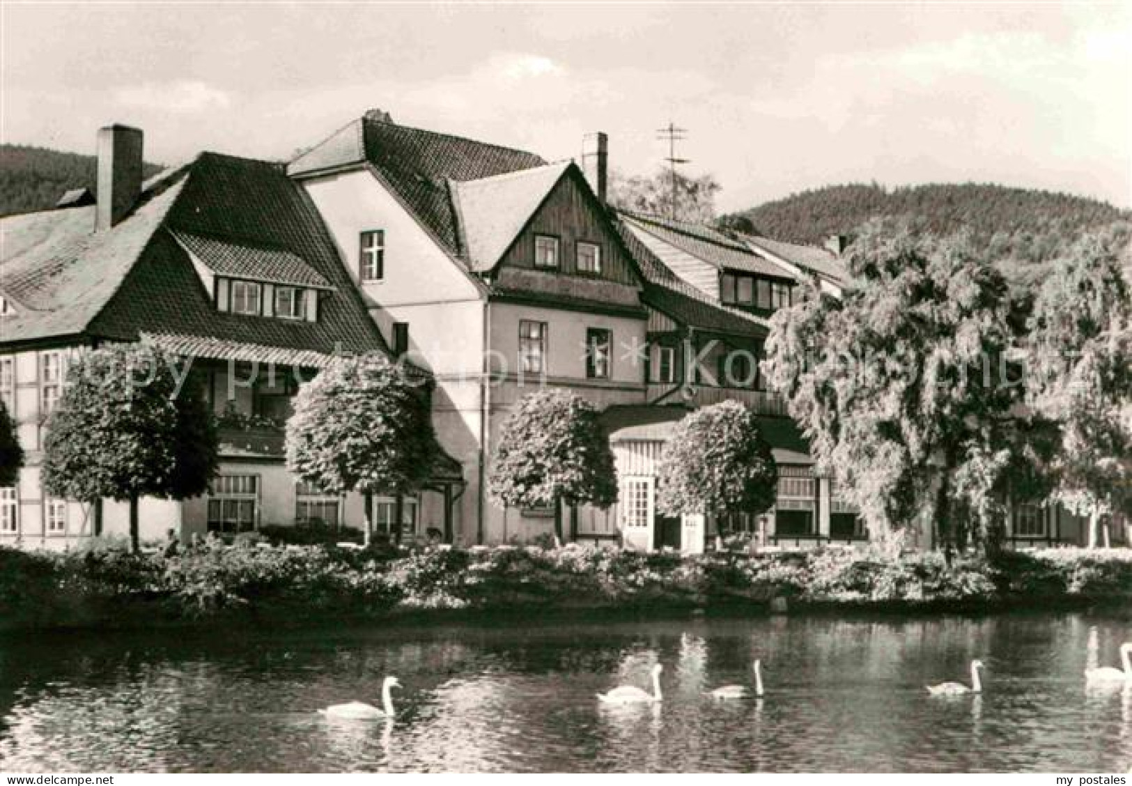 72651724 Ilsenburg Harz Forellenteich  Ilsenburg Harz - Ilsenburg