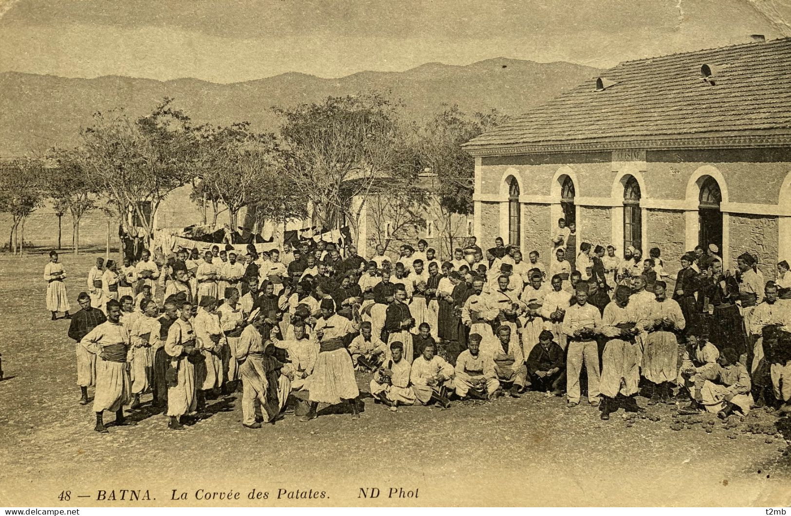 CPA BATNA (Algérie) - La Corvée Des Patates - Batna