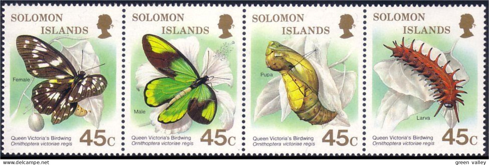 Salomon Solomon Butterflies Butterfly Papillon Schmetterlinge Farfala Mariposa MNH ** Neuf SC ( A30 210) - Islas Salomón (1978-...)