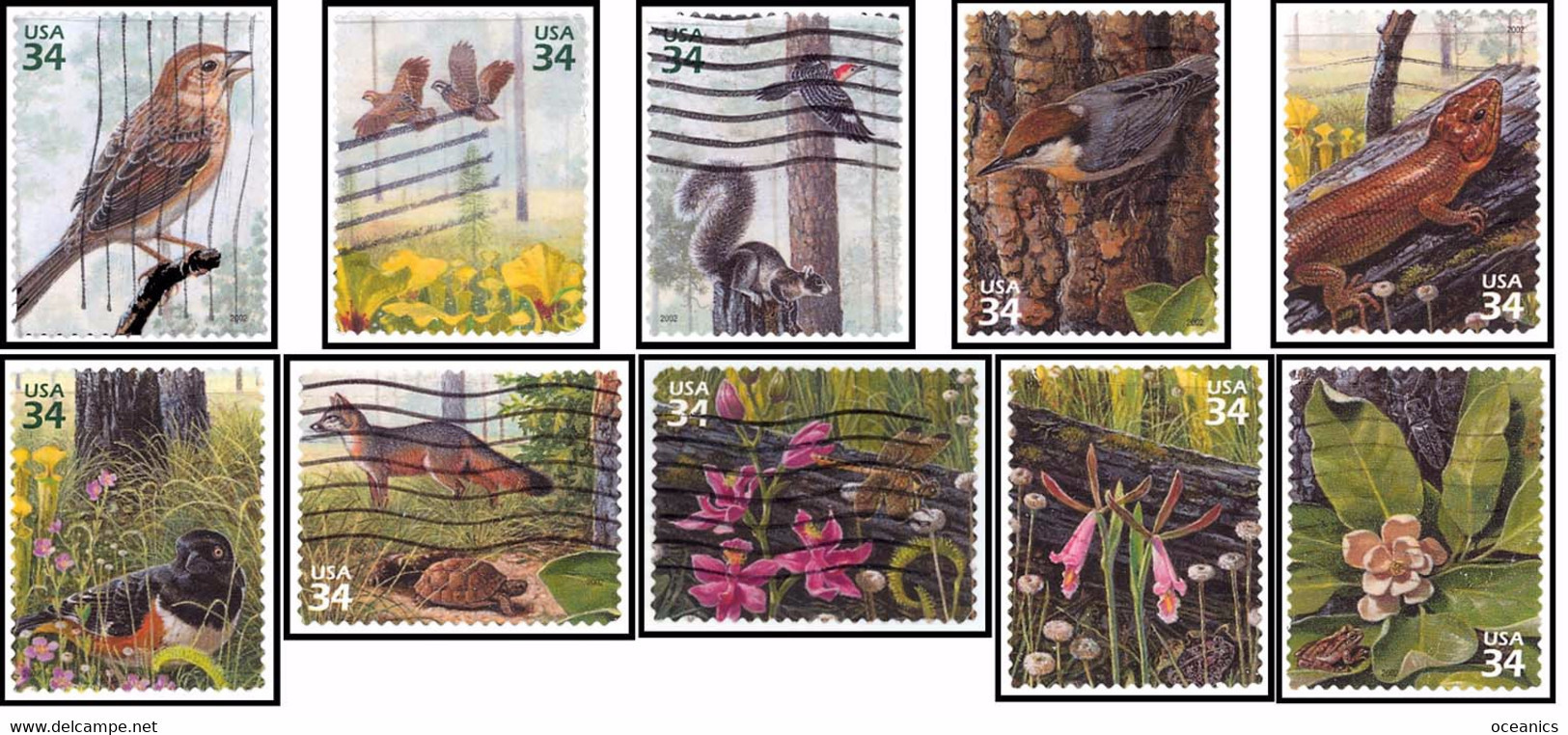 Etats-Unis / United States (Scott No.3611a-j - Longleaf Pine Forest) (o) Set - Used Stamps