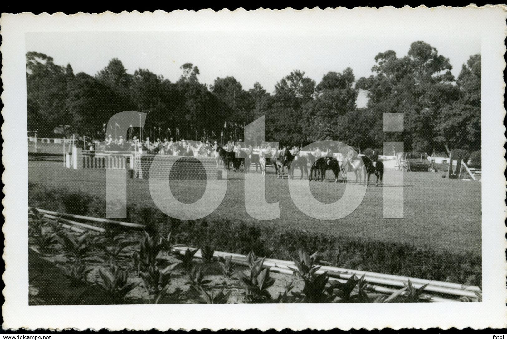 13 POSTCARDS SET REAL FOTO POSTCARD SIZE PROVA HIPISMO LOURENÇO MARQUES MOÇAMBIQUE MOZAMBIQUE HORSE AFRICA AFRIQUE PHOTO