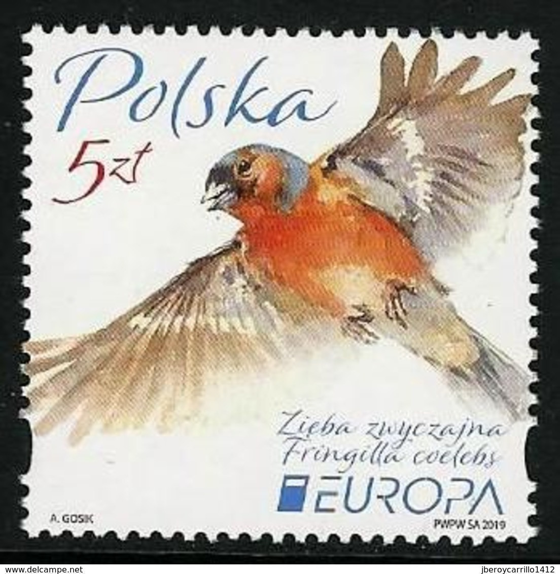 POLONIA /POLAND /POLSKA /POLOGNE  -EUROPA 2019 -NATIONAL BIRDS.-"AVES -BIRDS -VÖGEL-OISEAUX"- SERIE N - 2019