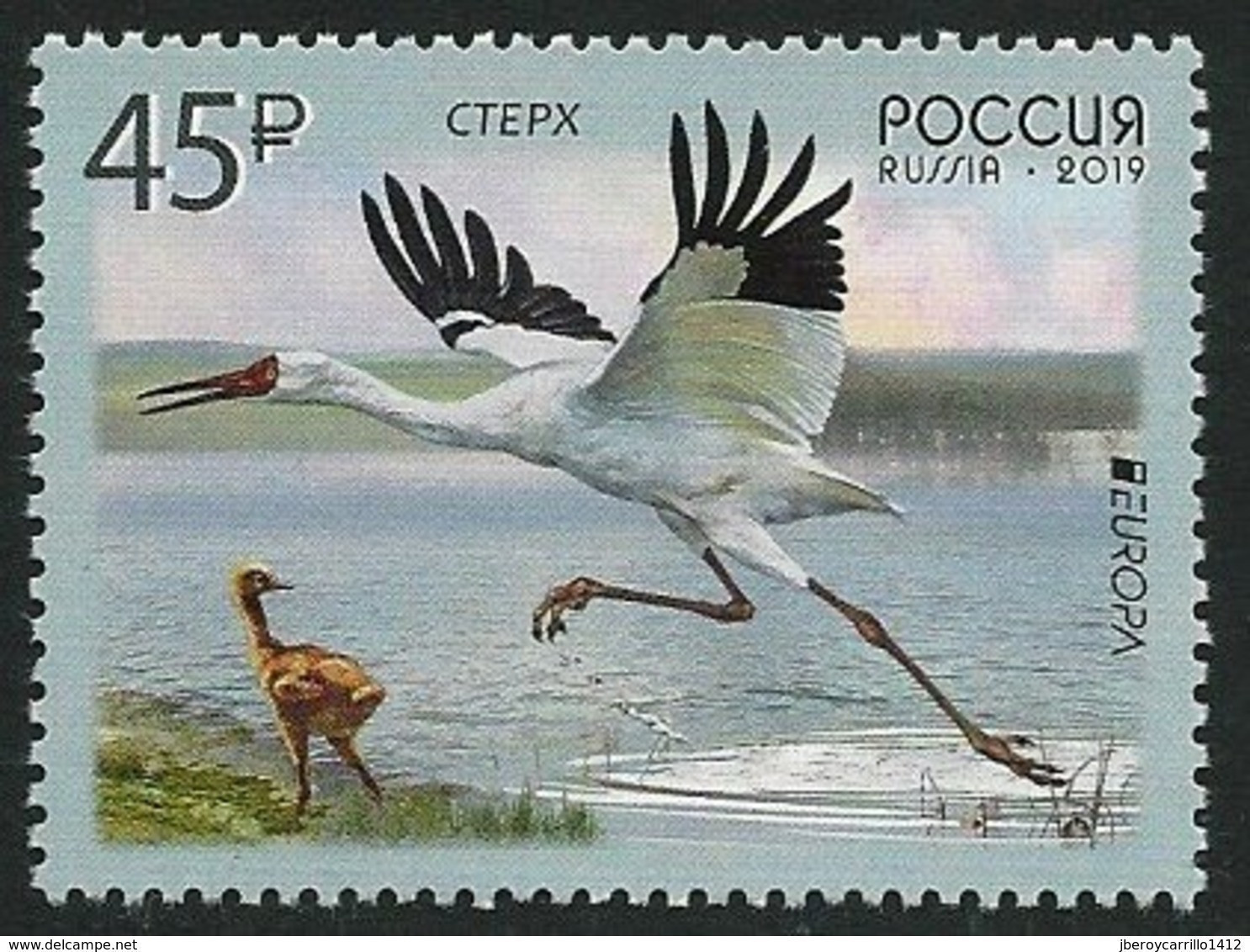 RUSIA 2019 /RUSSLAND /RUSSIA - EUROPA 2019 -" AVES - BIRDS - VÖGEL - OISEAUX"- GRULLA BLANCA DE SIBERIA - SERIE De 1 V. - 2019