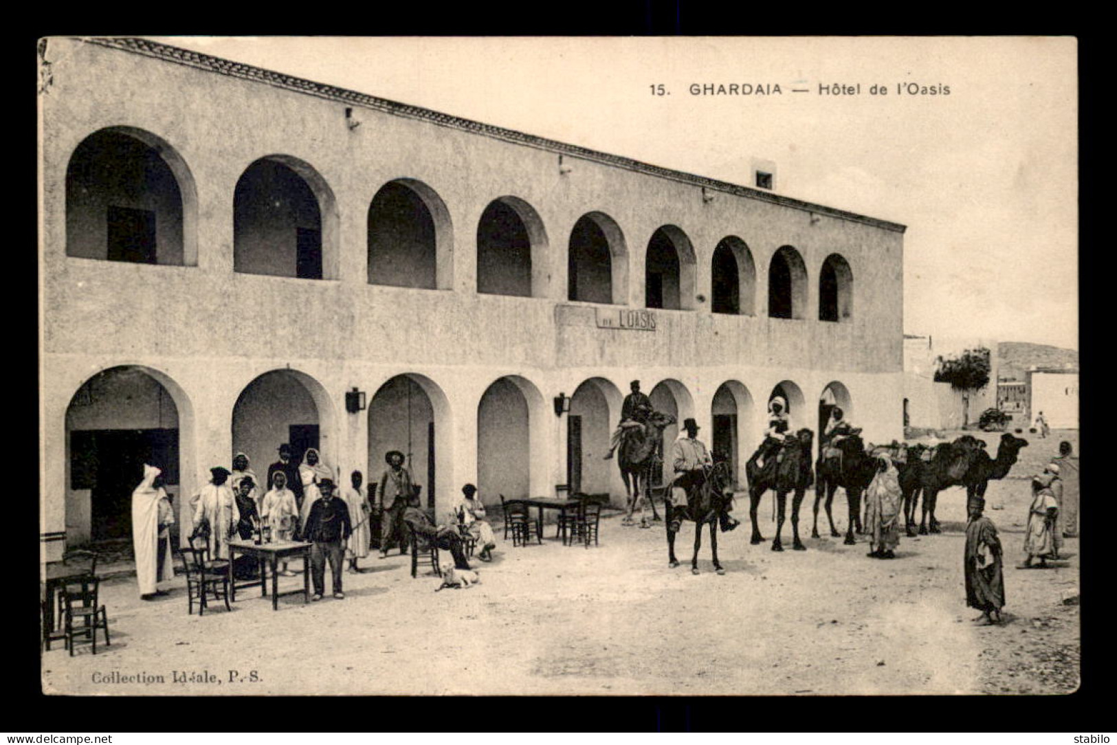 ALGERIE - SAHARA - GHARDAIA - HOTEL DE L'OASIS - CHAMEAUX - Ghardaia