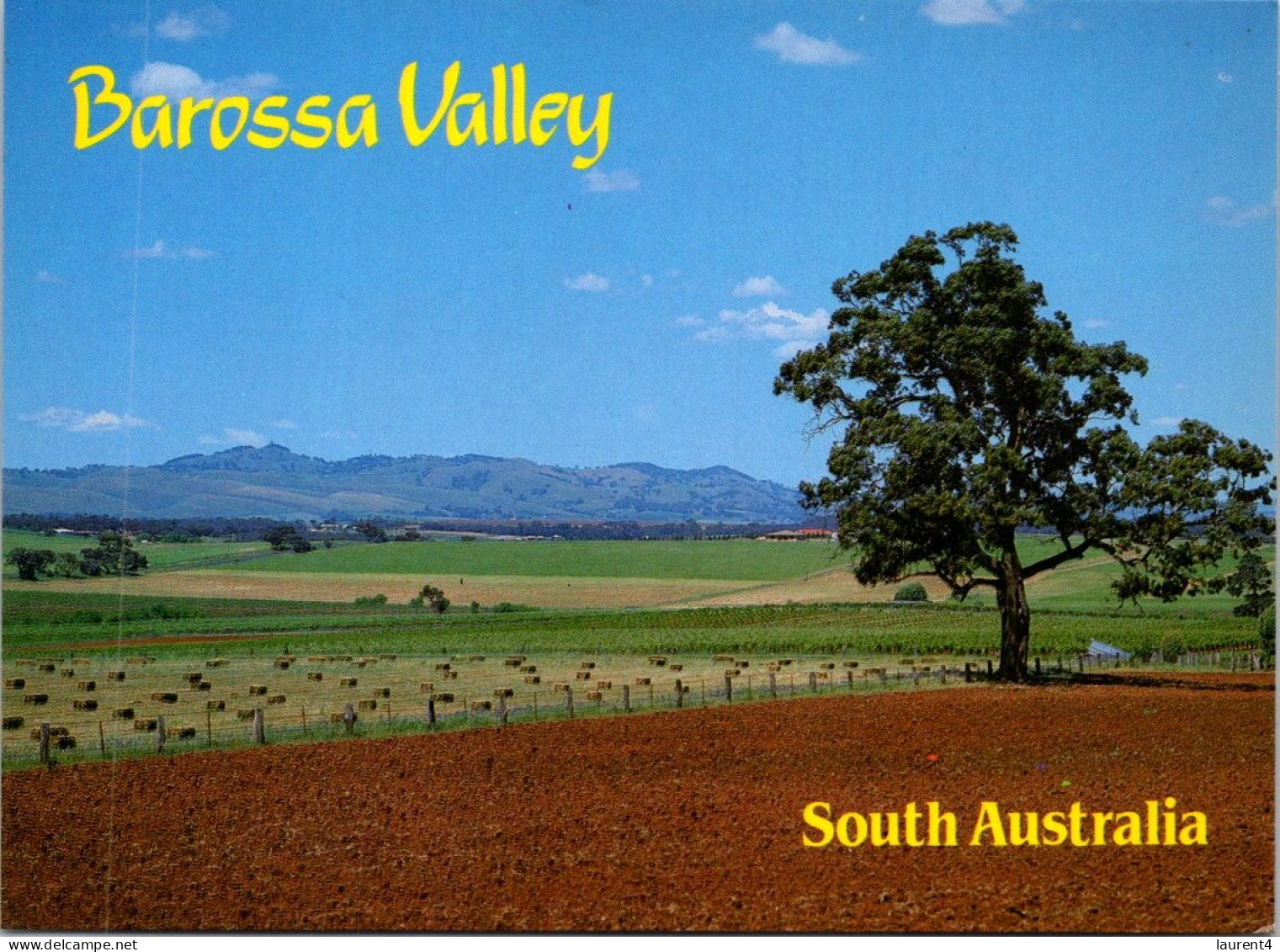 20-2-2024 (4 X 41) Australia - SA - Barossa Valley - Barossa Valley