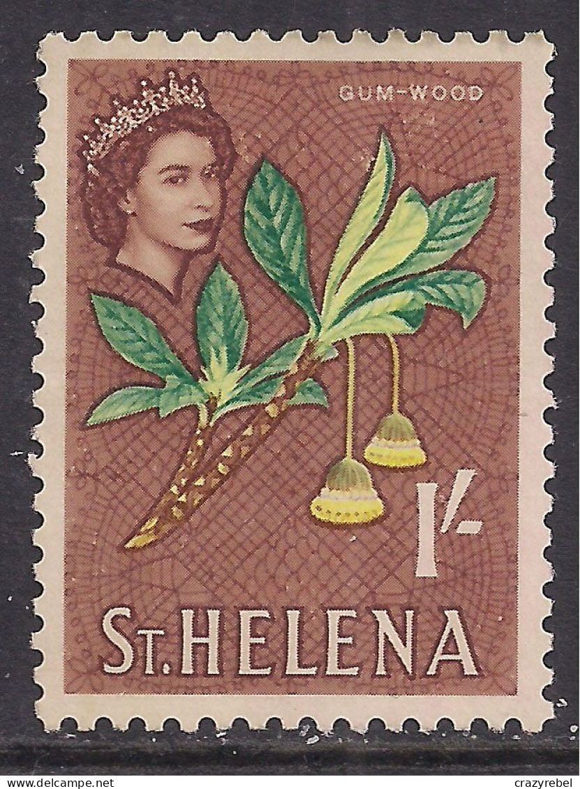 St Helena 1953 QE2 1/- Gum Wood  SG 184 MM ( K1479 ) - Saint Helena Island