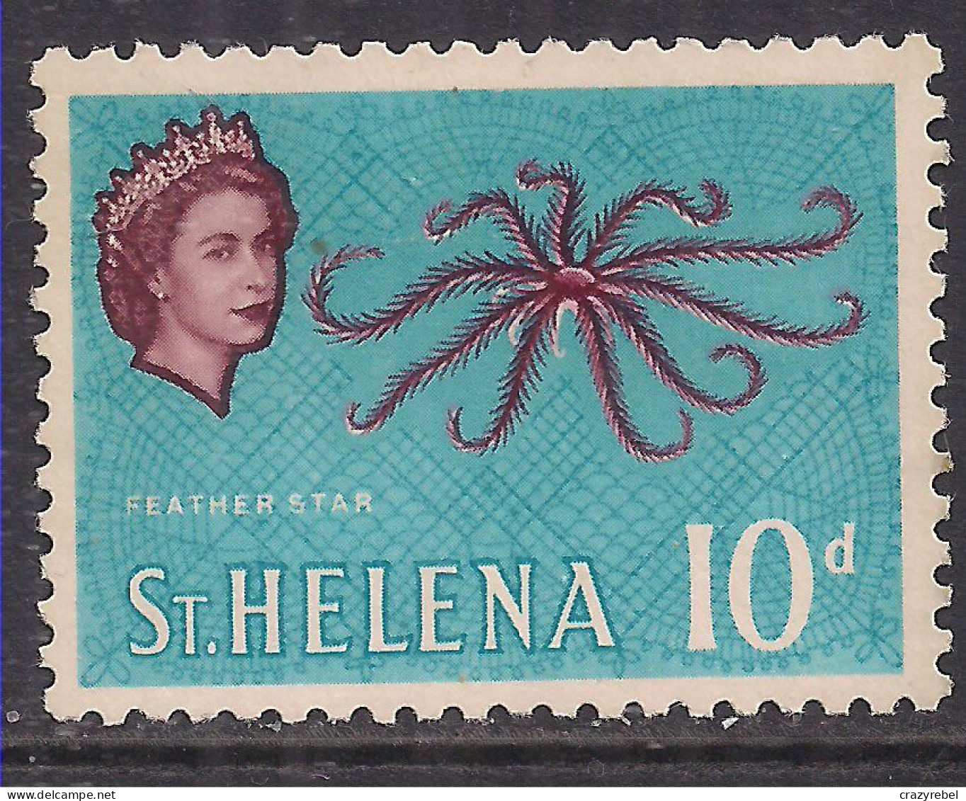 St Helena 1961 QE2 10d Feather Star Fish MM SG 183 ( A771 ) - Sainte-Hélène