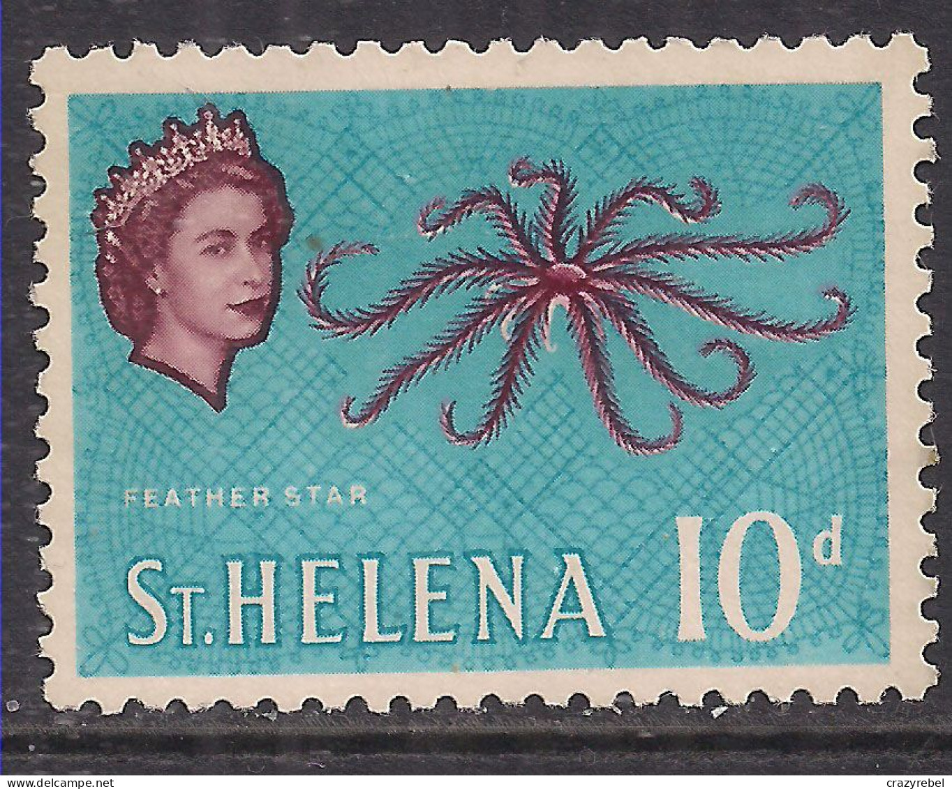 St Helena 1961 QE2 10d Feather Star Fish MM SG 183 ( A771 ) - Saint Helena Island